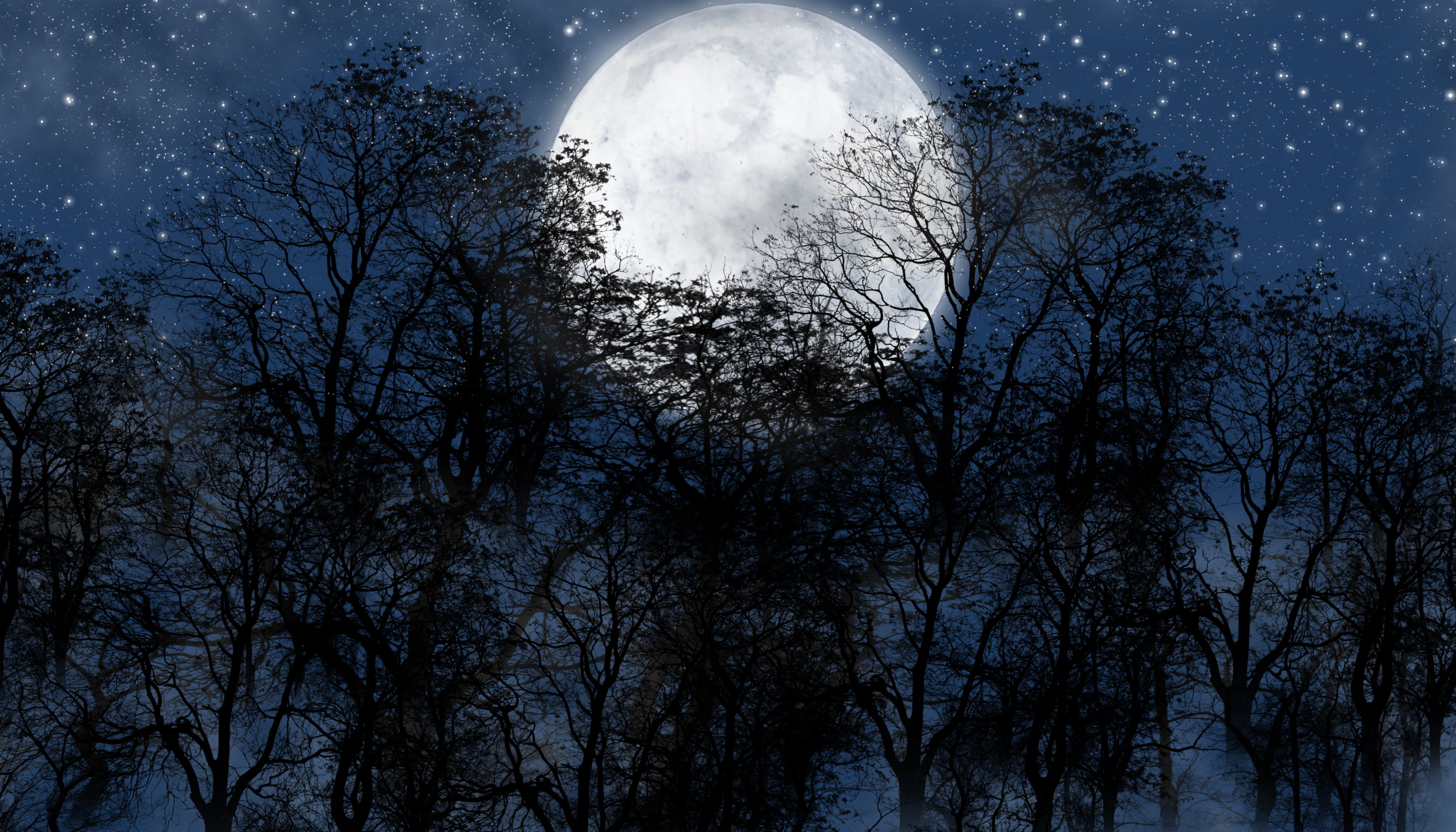 moonlight, mystery, midnight, light - Natural Phenomenon, no people, sky, 2K, night, branch, evil, horror, constellation, spooky, tree, sullen, full, moon, HD Wallpaper