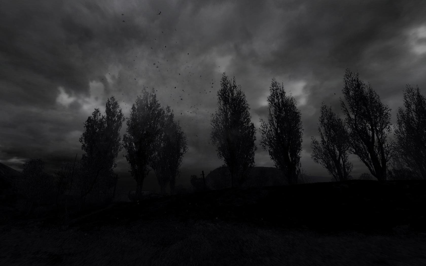 tree, non-Urban Scene, forest, beauty In Nature, sky, black, scenics, S.T.A.L.K.E.R., thunderstorm, dark, sullen, fog, outdoors, night, black And White, HD Wallpaper