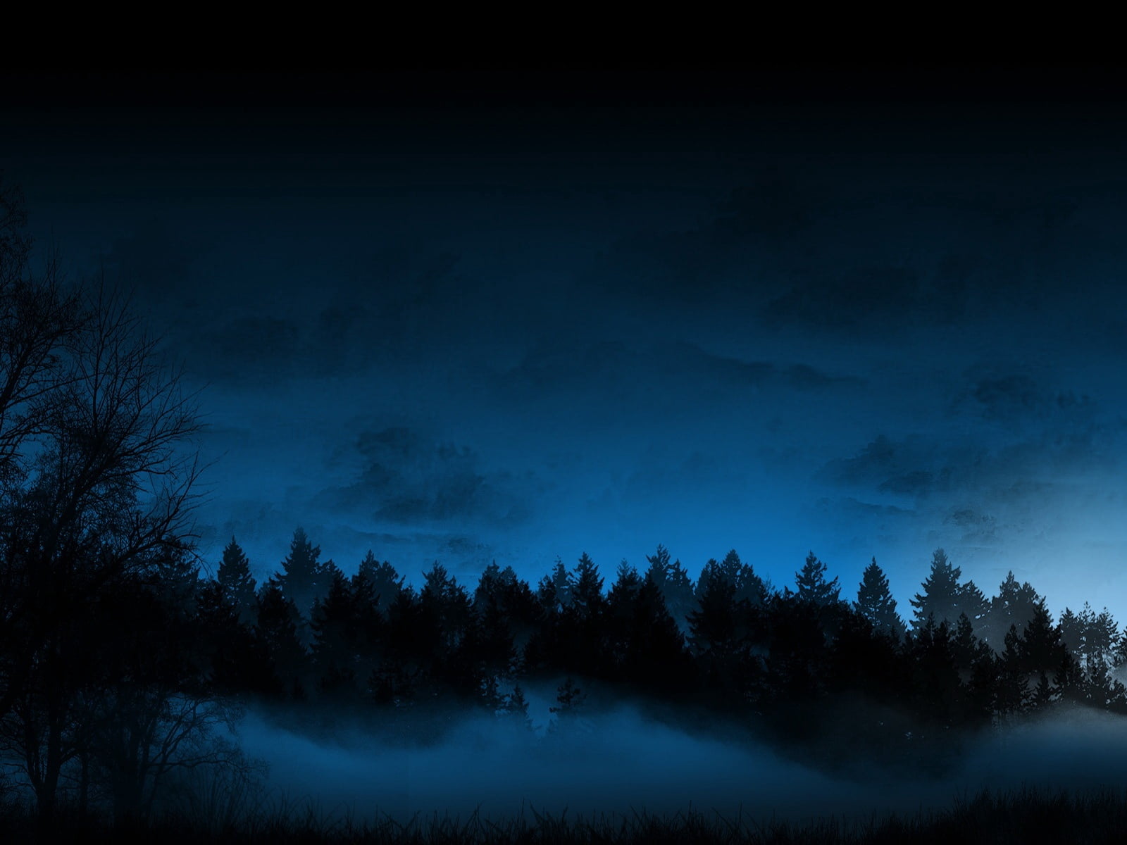 environment, plant, blue, fir-trees, tranquil Scene, season, tranquility, sky, spooky, landscape, silhouette, moon, weather, 720P, beauty In Nature, nature, HD Wallpaper
