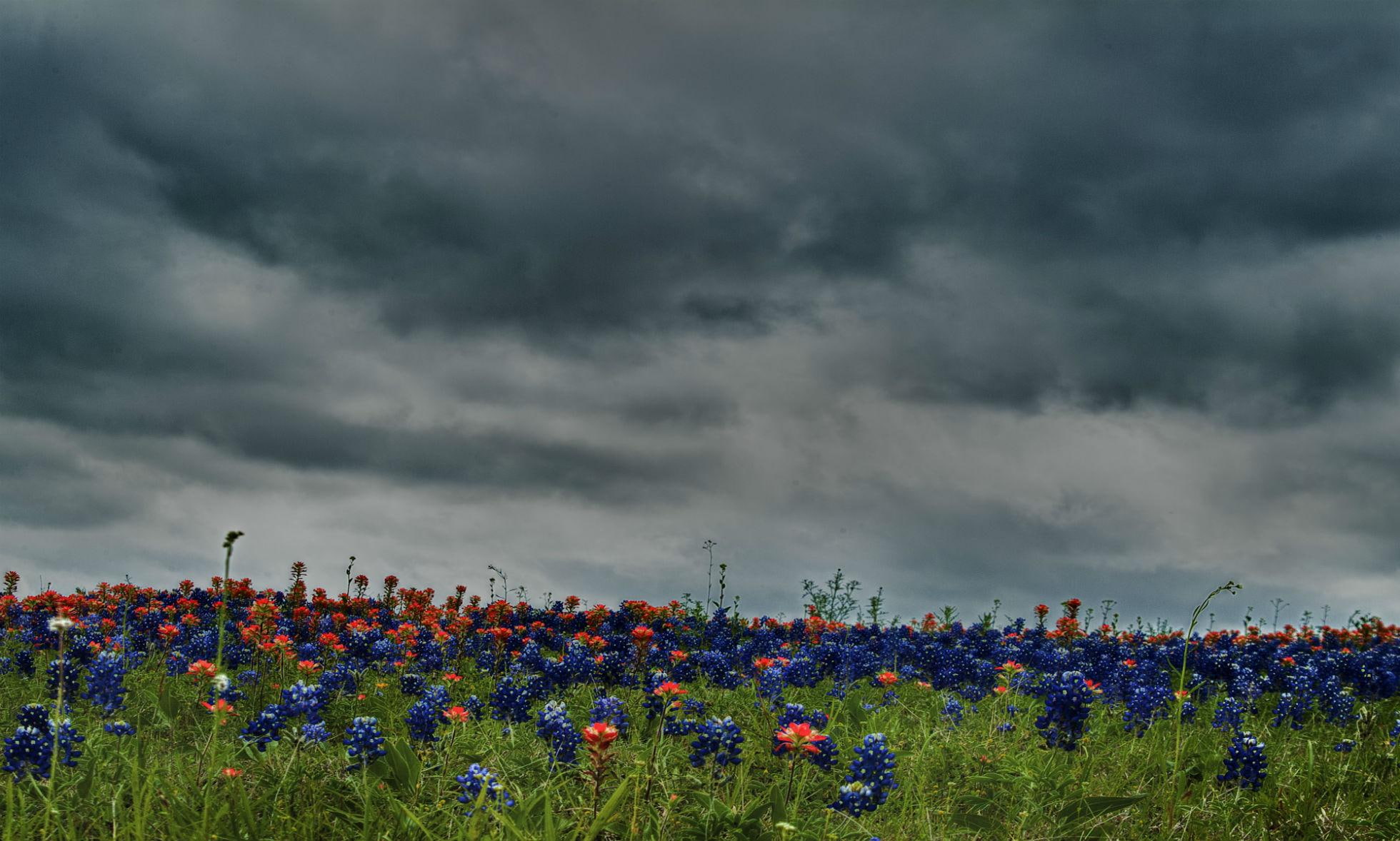 nature and landscapes, nature, texas, amp, wildflowers, 1080P, clouds, field, paintbrush, indian, bluebonnets, fields, HD Wallpaper