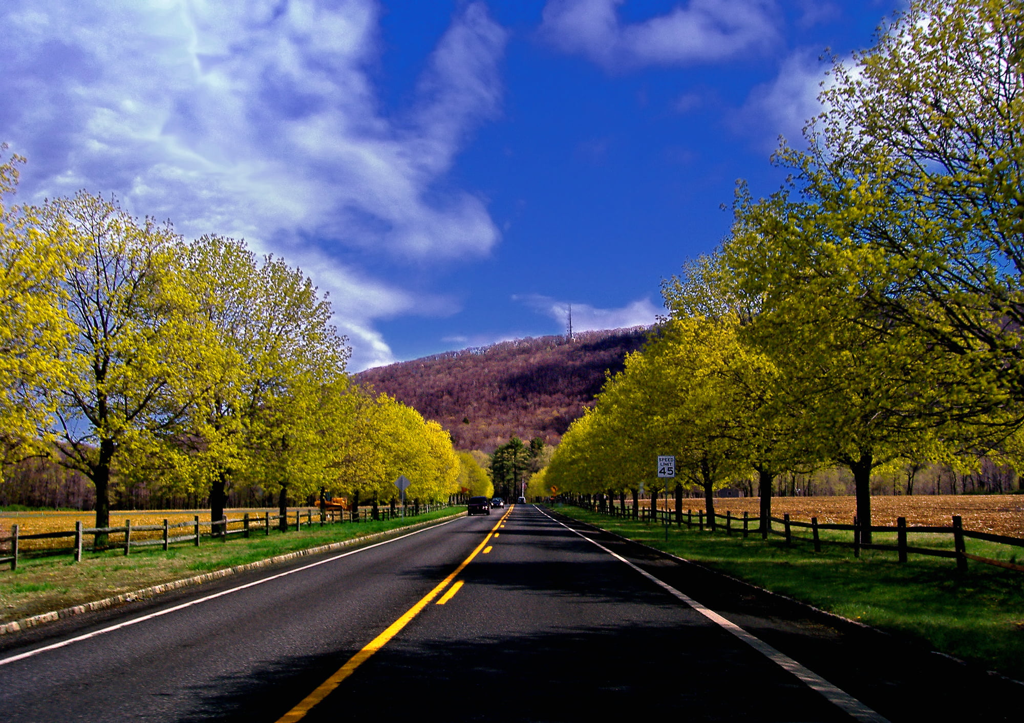photo, stratocumulus, Monroe County, blue, spring, road, Blue Mountain, trees, autumn, white, concrete, Northampton County, Corridor, nature, creative commons, HD Wallpaper