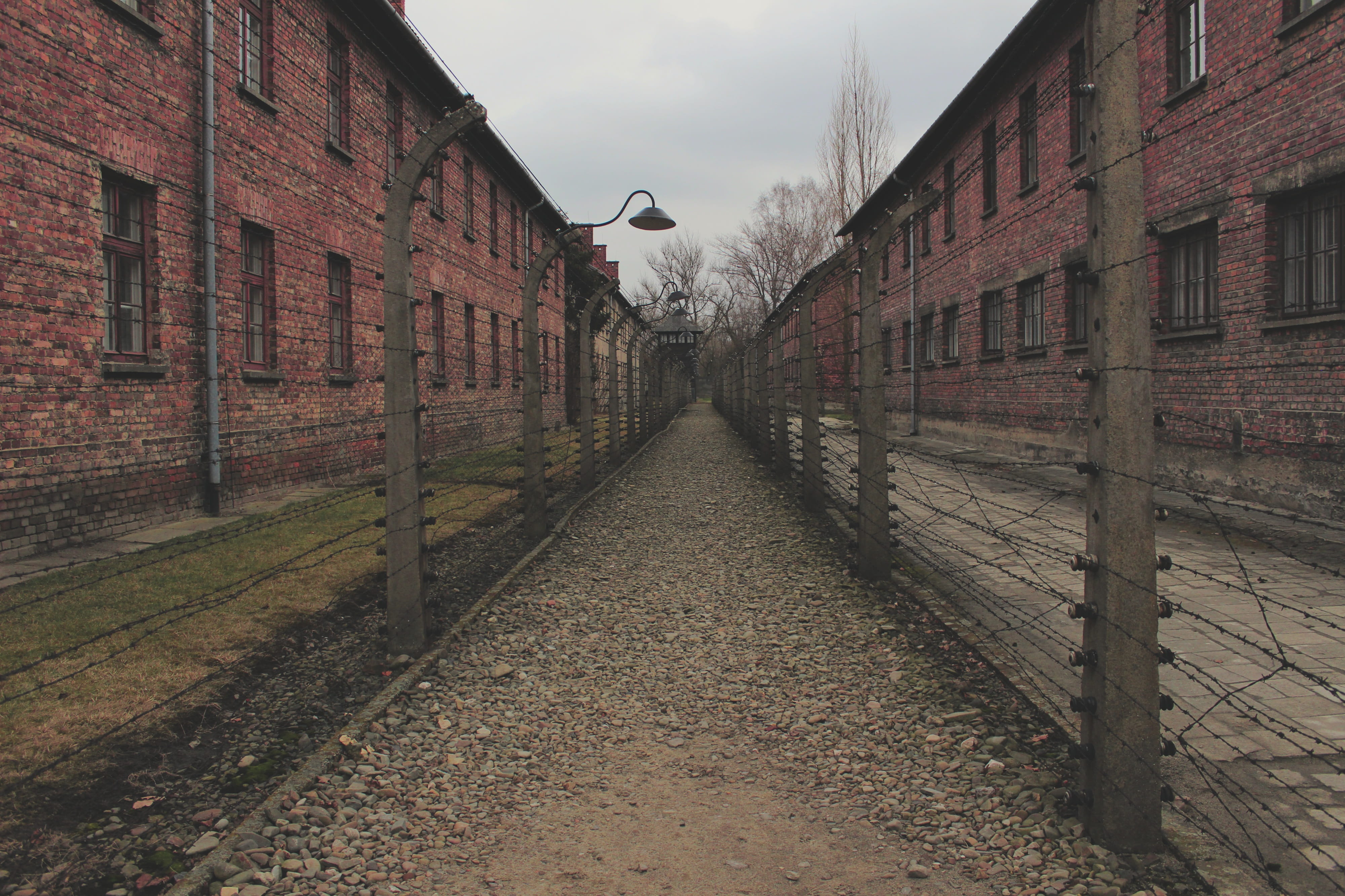 prison, walls, barbed wire, wall - building feature, direction, concentration camp, fence, residential district, built structure, brick wall, day, house, HD Wallpaper
