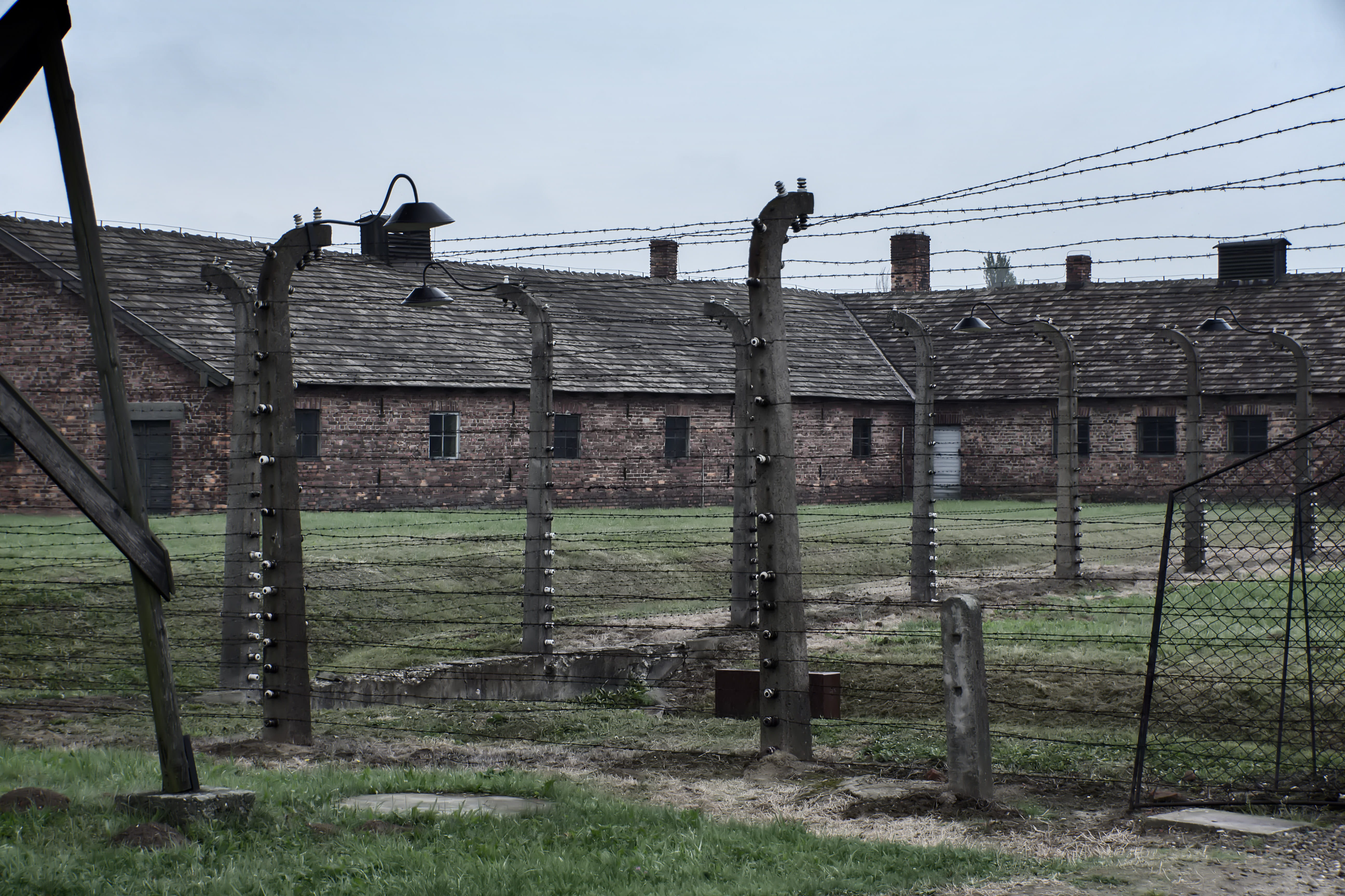 5K, the jews, obsolete, memorial, nature, auschwitz 2, barrier, camp, plant, building, old, boundary, wood - material, unesco, the holocaust, outdoors, HD Wallpaper