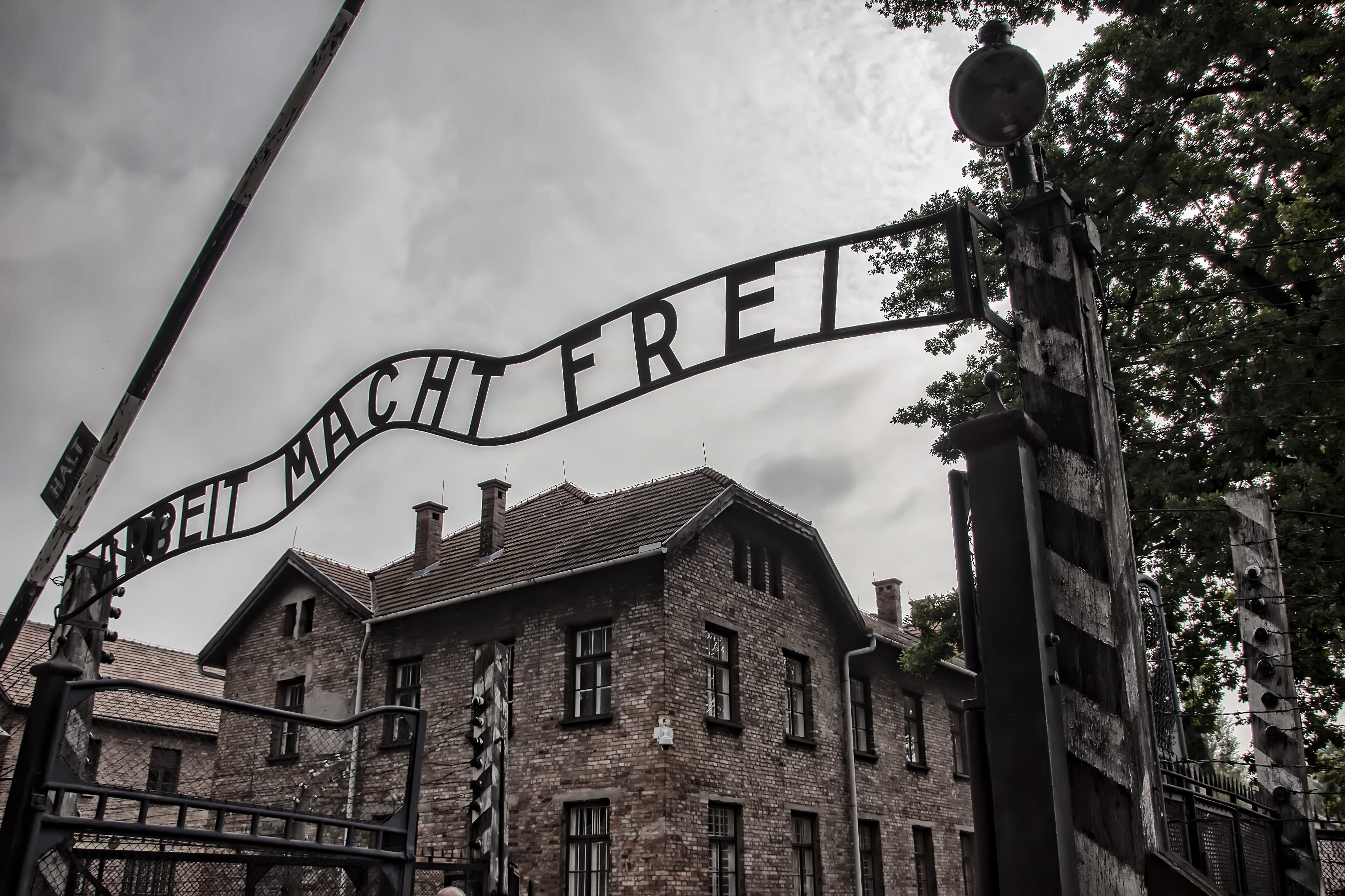 built structure, building exterior, the holocaust, tree, residential district, auschwitz, memorial, outdoors, fence, old, unesco, window, architecture, HD Wallpaper