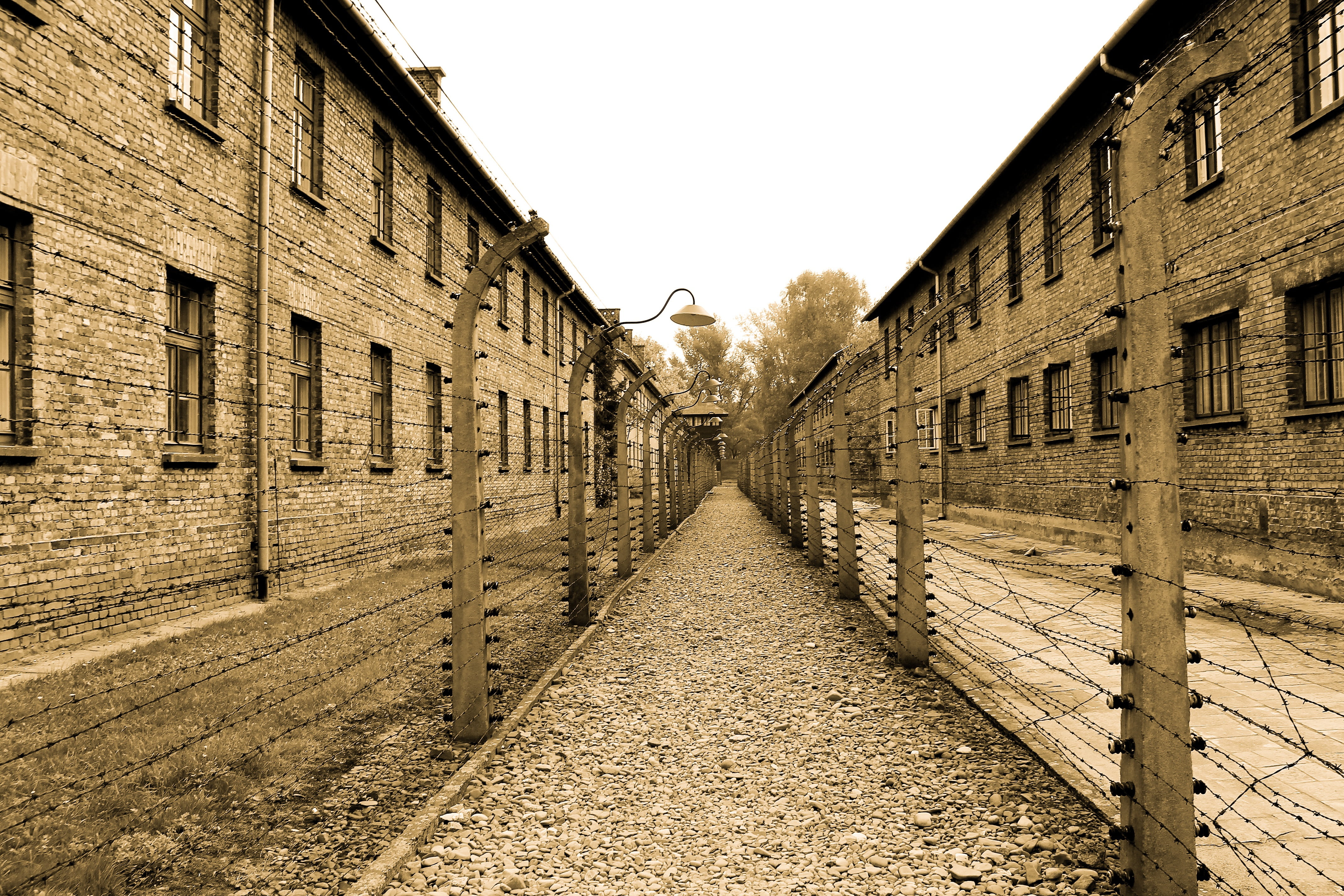 barbed wire, auschwitz, wall, fencing, alley, old, window, long, the way forward, the museum, city, extermination camp, photography, concentration camp, HD Wallpaper