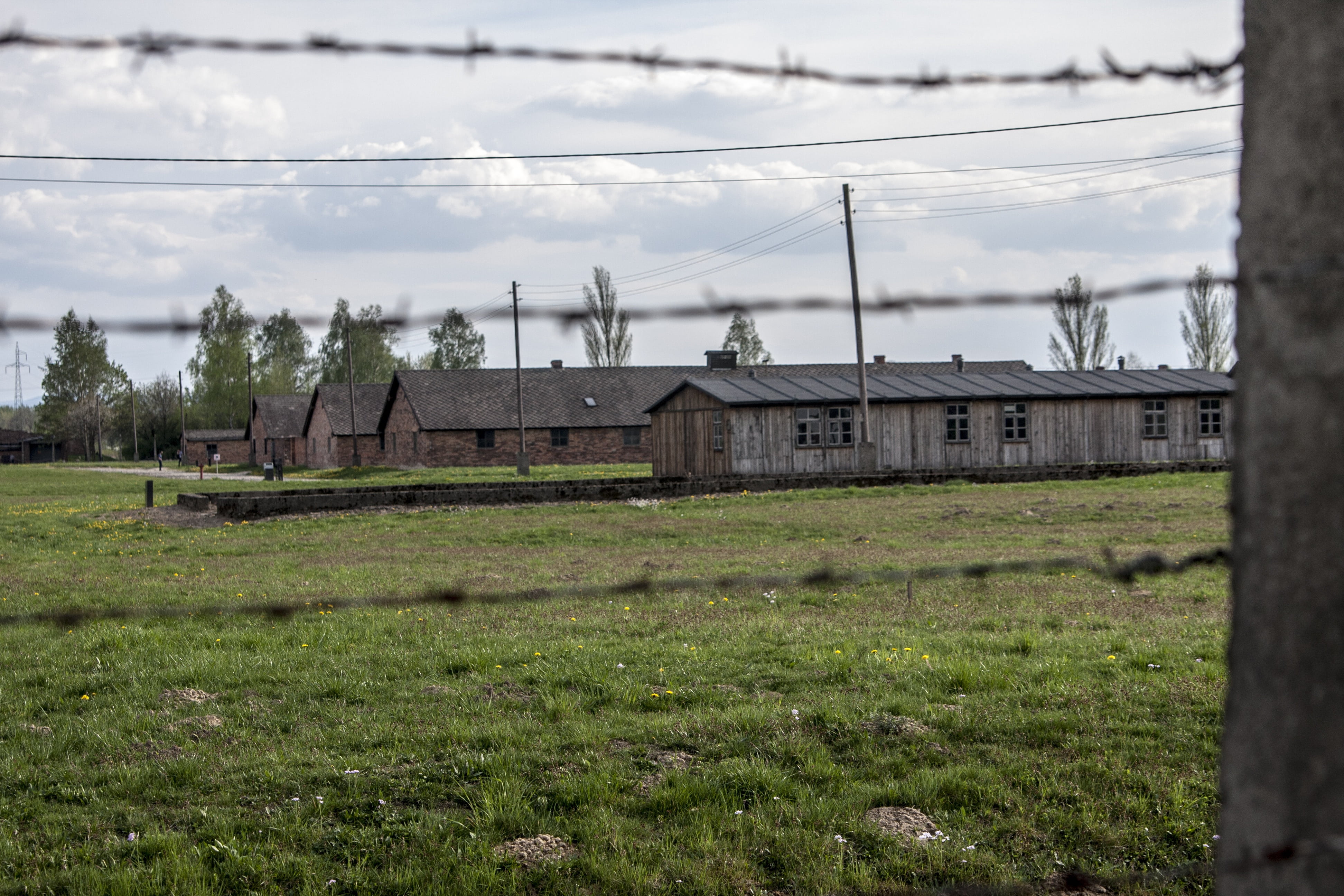 field, sky, landscape, auschwitz-birkenau, day, architecture, green color, electricity pylon, nature, power line, tree, plant, grass, electricity, labour camp, HD Wallpaper