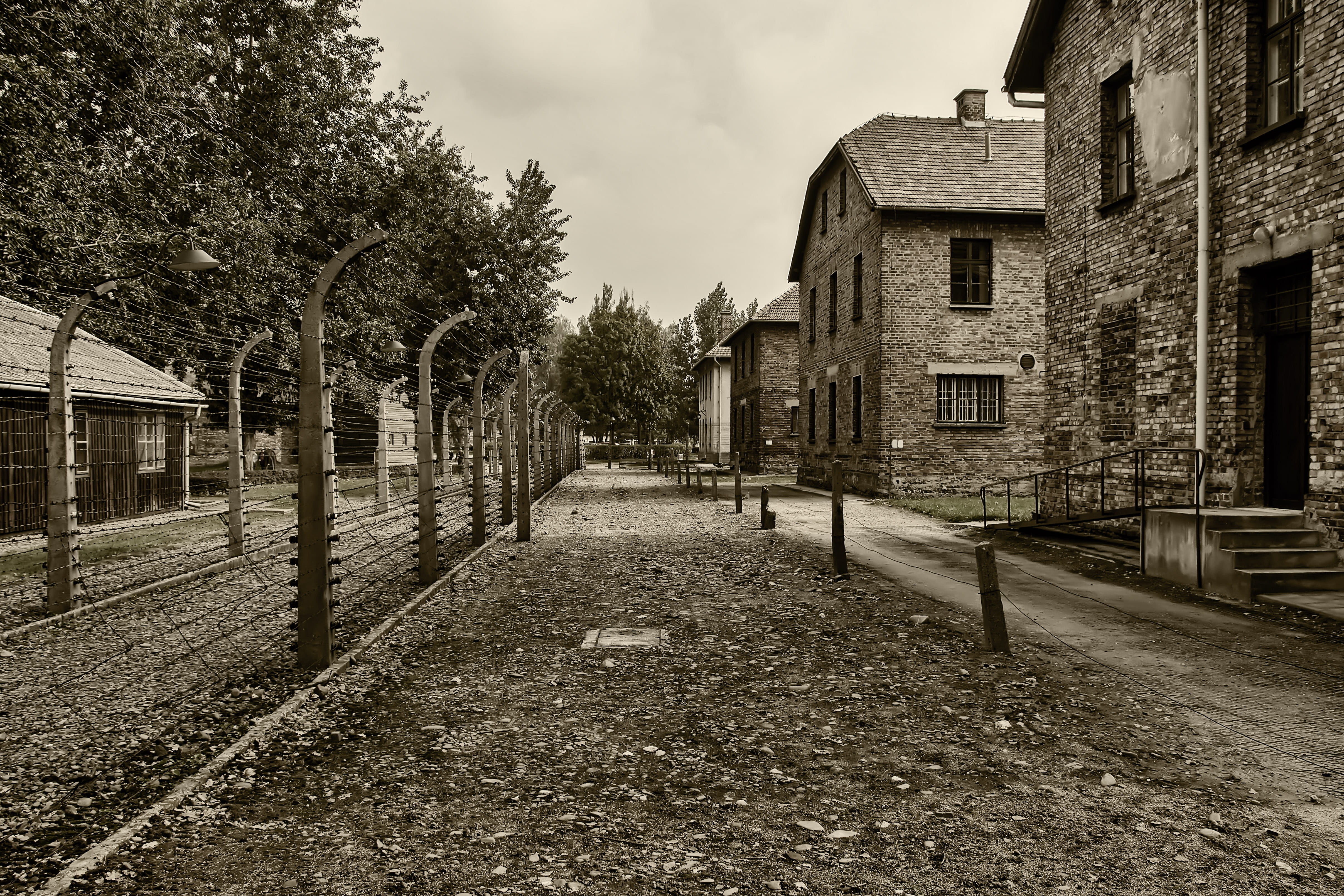 diminishing perspective, no people, street, tree, auschwitz i, memorial, camp, residential district, auschwitz, museum, building, house, outdoors, cloud - sky, HD Wallpaper