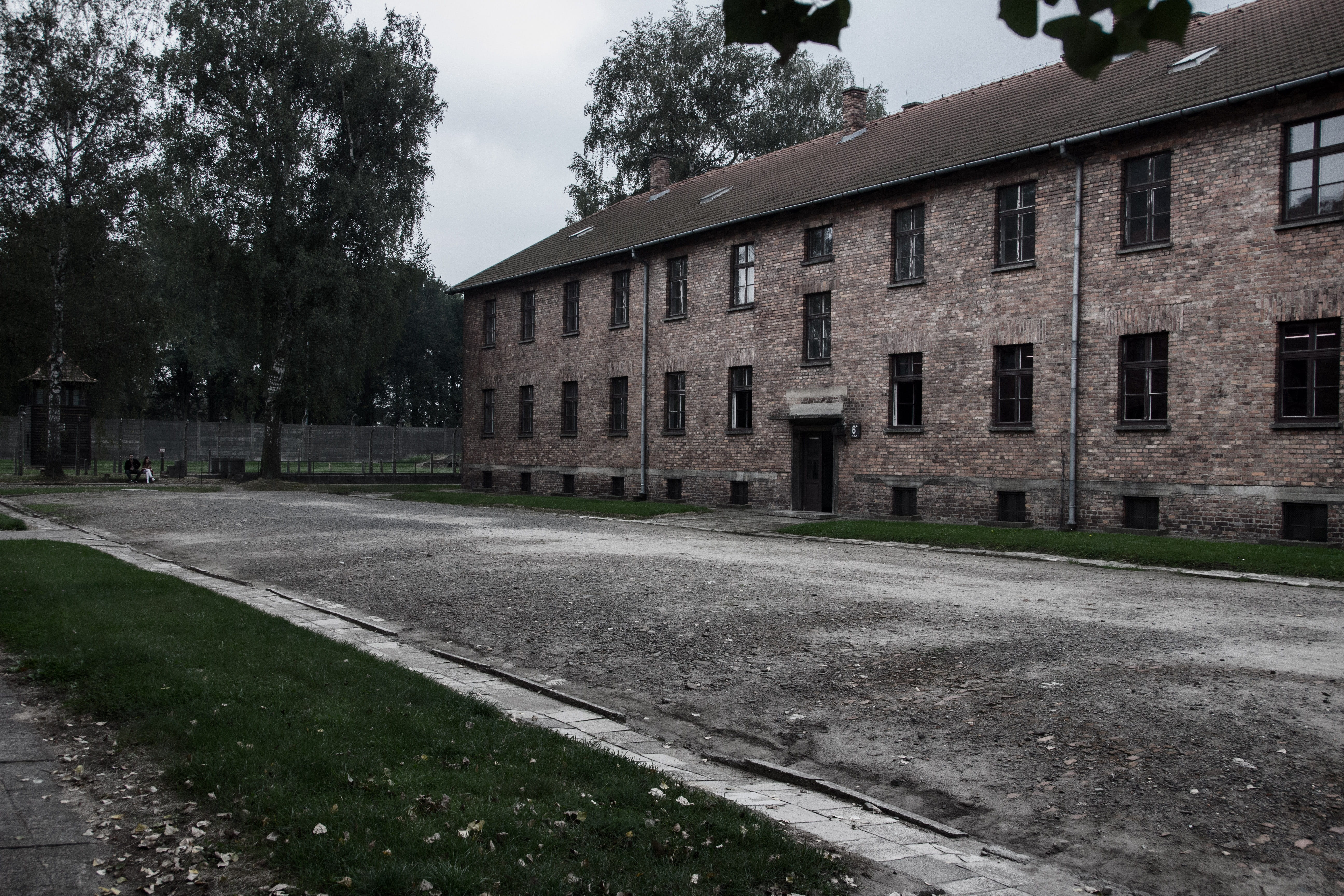 day, no people, unesco, city, window, abandoned, grass, old, sky, 5K, cloud - sky, fence, building, tree, poland, architecture, the holocaust, memorial, HD Wallpaper