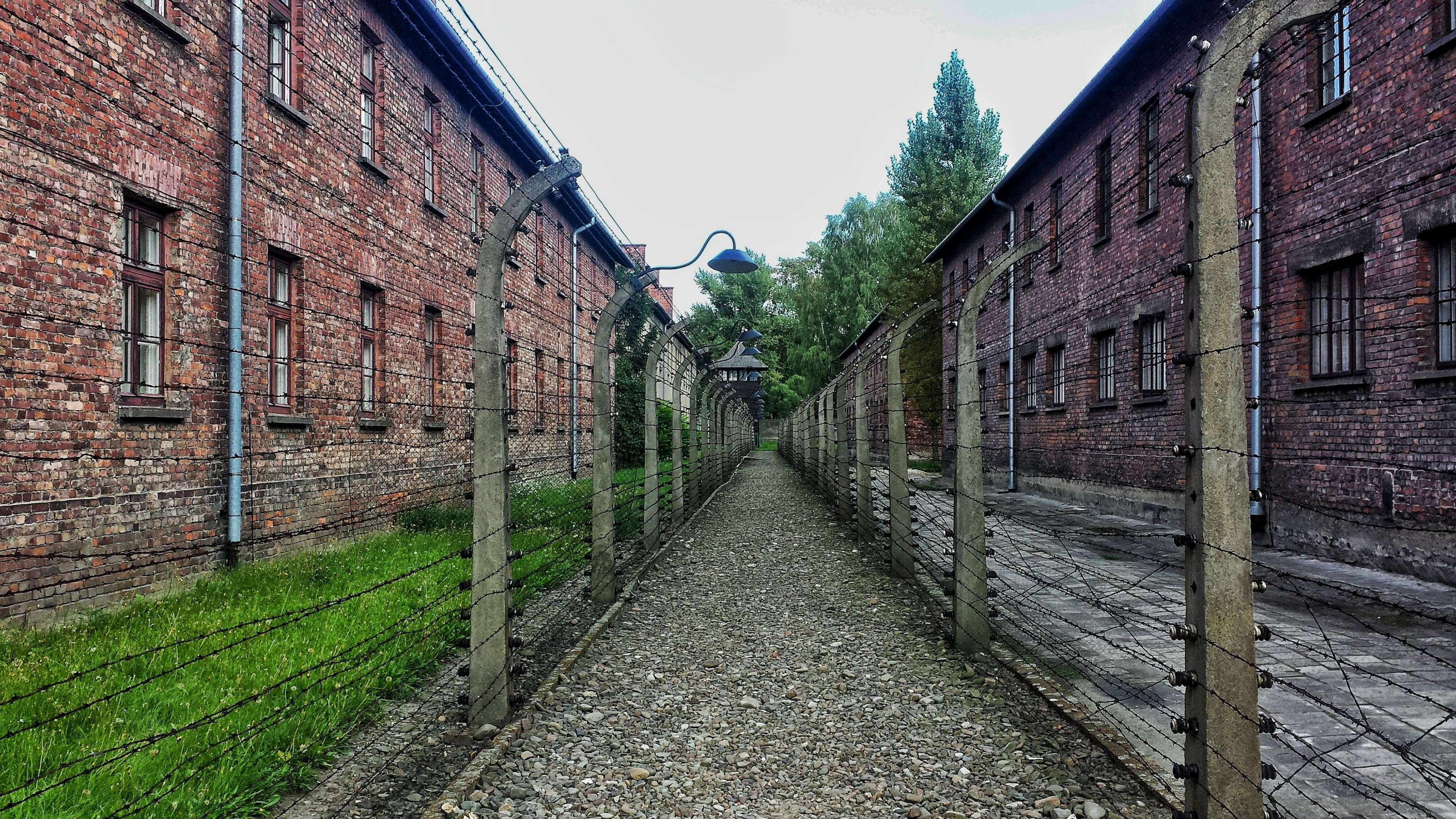 brick wall, plant, jail, grass, auschwitz concentration camp, stone wall, outdoors, camp, clear sky, polan, 4K, built structure, city, wall, fence, nazi concentration camp, HD Wallpaper