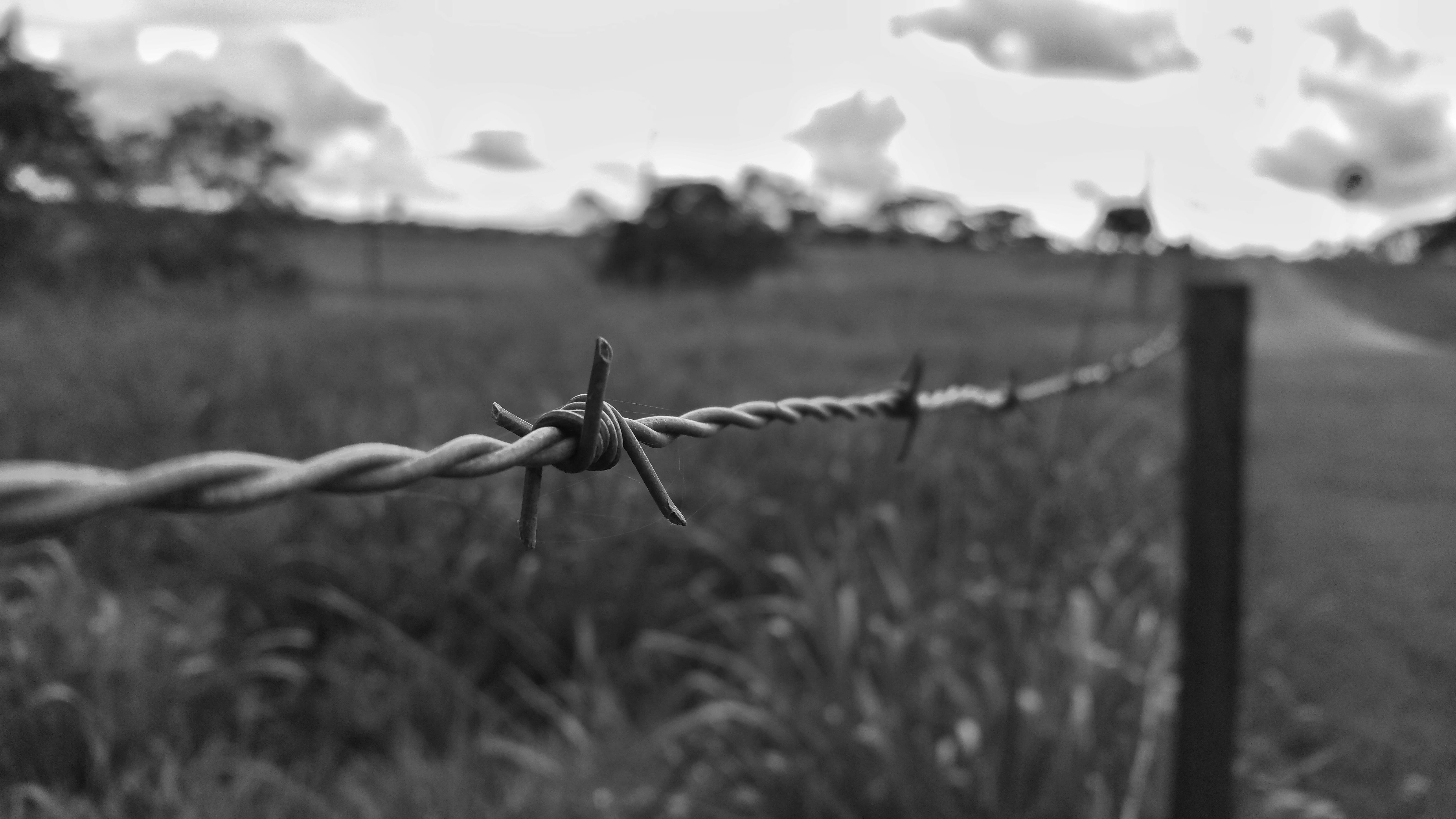 nature, wire, close-up, sign, exclusion, day, safety, field, barbed wire, barrier, outdoors, metal, fence, protection, sharp, focus on foreground, no people, HD Wallpaper