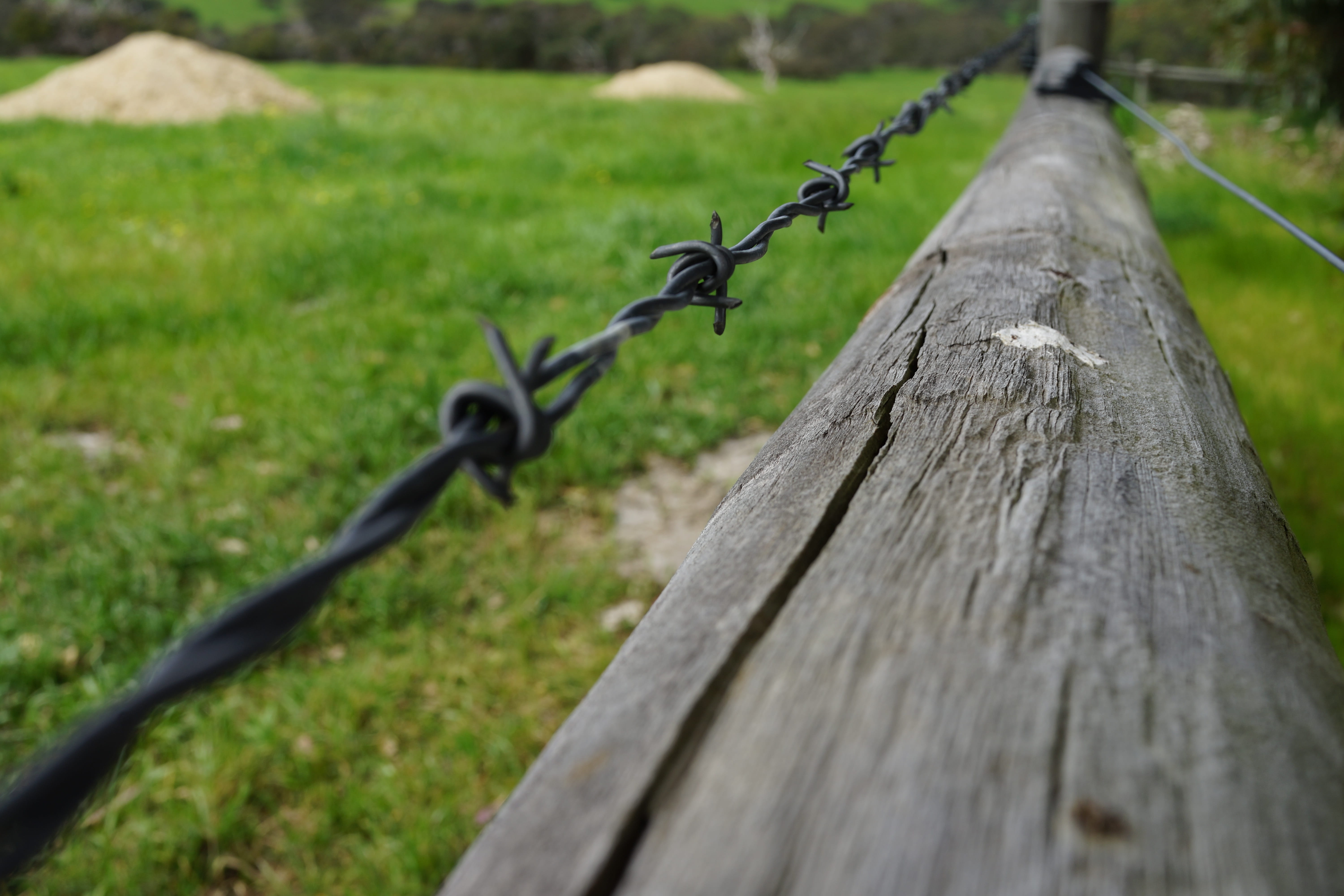 outdoors, chain, barrier, focus on foreground, wood - material, nature, fence, protect, wire, grass, warning, day, security, beware, land, stay away, boundary, HD Wallpaper