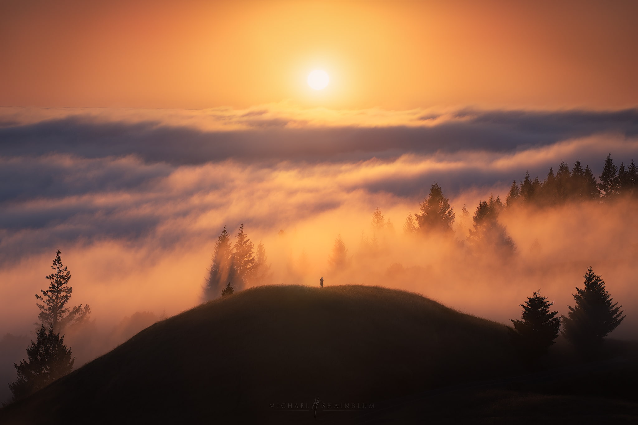 men, Michael Shainblum, landscape, trees, 1080P, nature, hills, Sun, mist, clouds, San Francisco, USA, HD Wallpaper