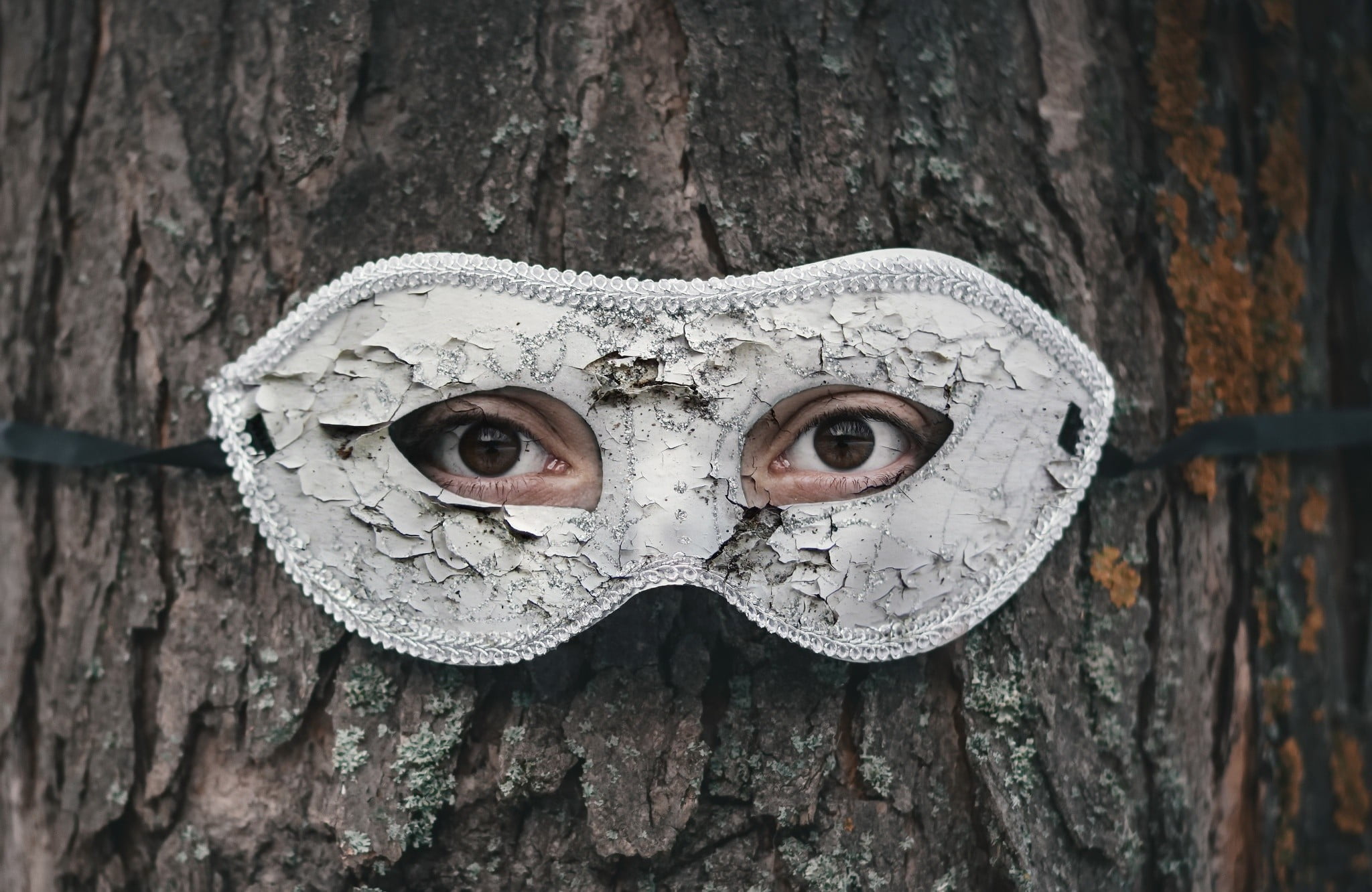 tree trunk, 1080P, creativity, body part, mask, day, face, representation, eye, portrait, trunk, looking at camera, headshot, real people, eyes, human representation, HD Wallpaper