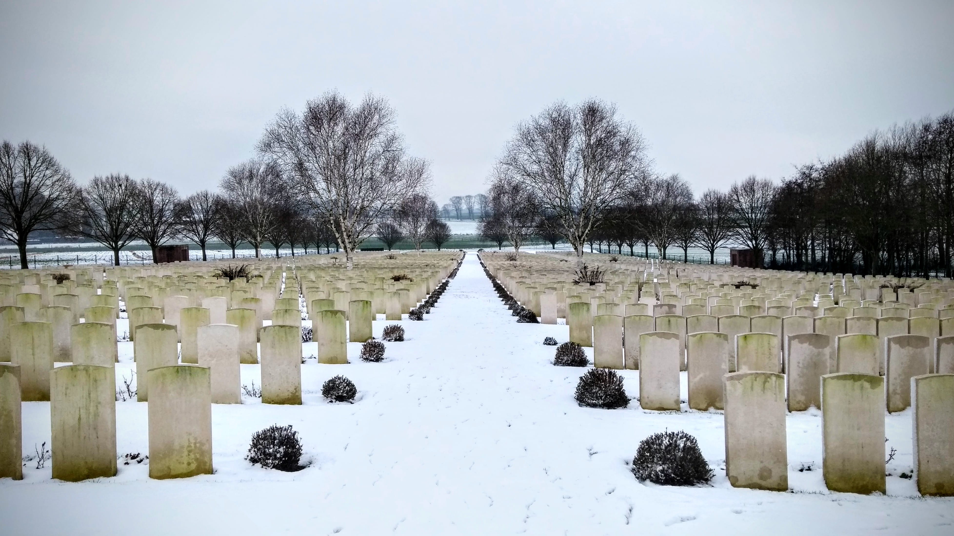 grave, 4K, symbol, day, tombstone, desolate, outdoors, plant, graves, diminishing perspective, the great war, bare tree, cold temperature, nature, sky, HD Wallpaper