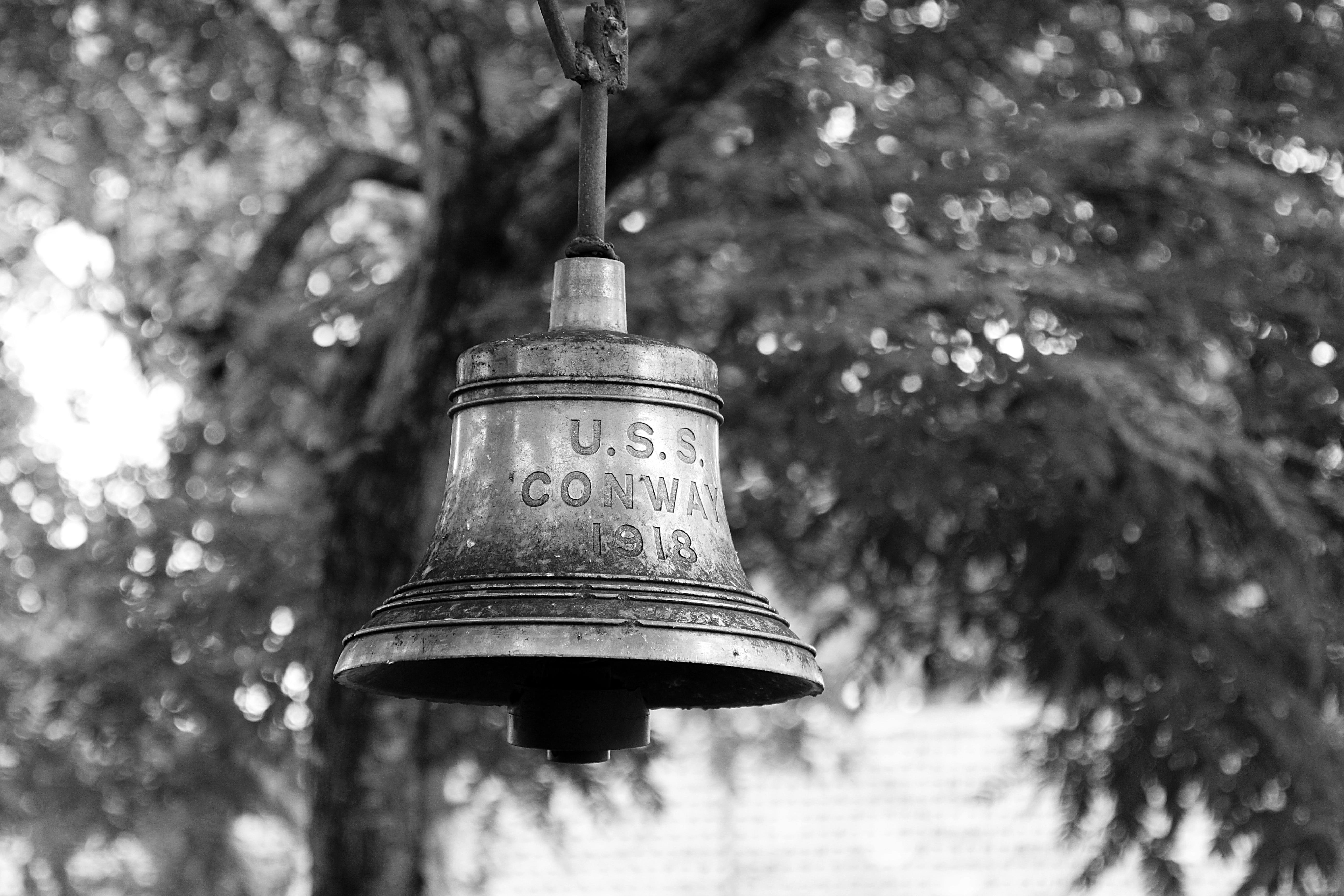 lantern, low angle view, sound, day, street light, focus on foreground, metal, lighting equipment, outdoors, light fixture, Catastrophe, War, tree, old, HD Wallpaper