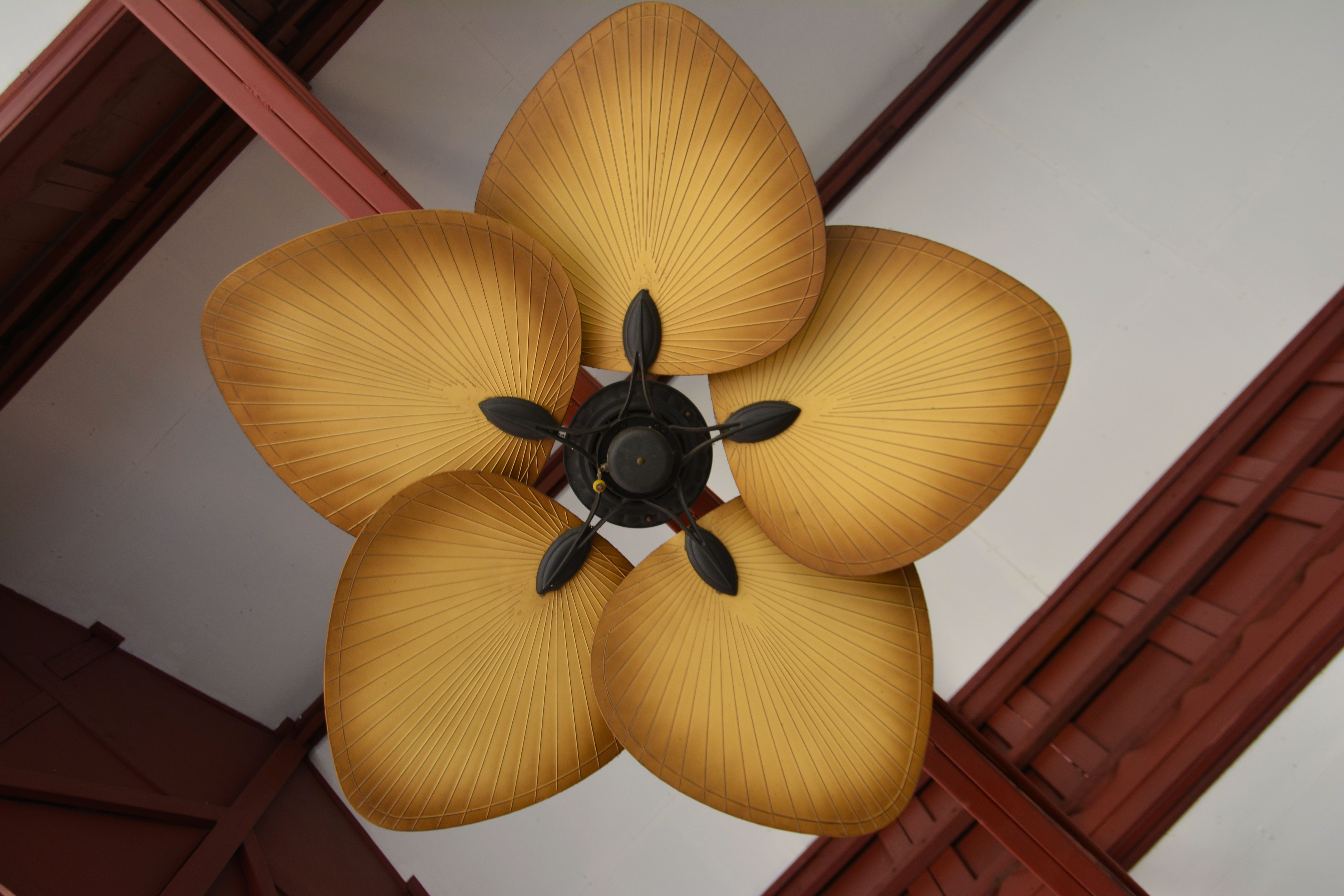house, low angle view, close-up, system, air vehicle, fan, airplane, fresh, directly below, appliance, air, metal, ceiling fan, propeller, cooling, ceiling, HD Wallpaper