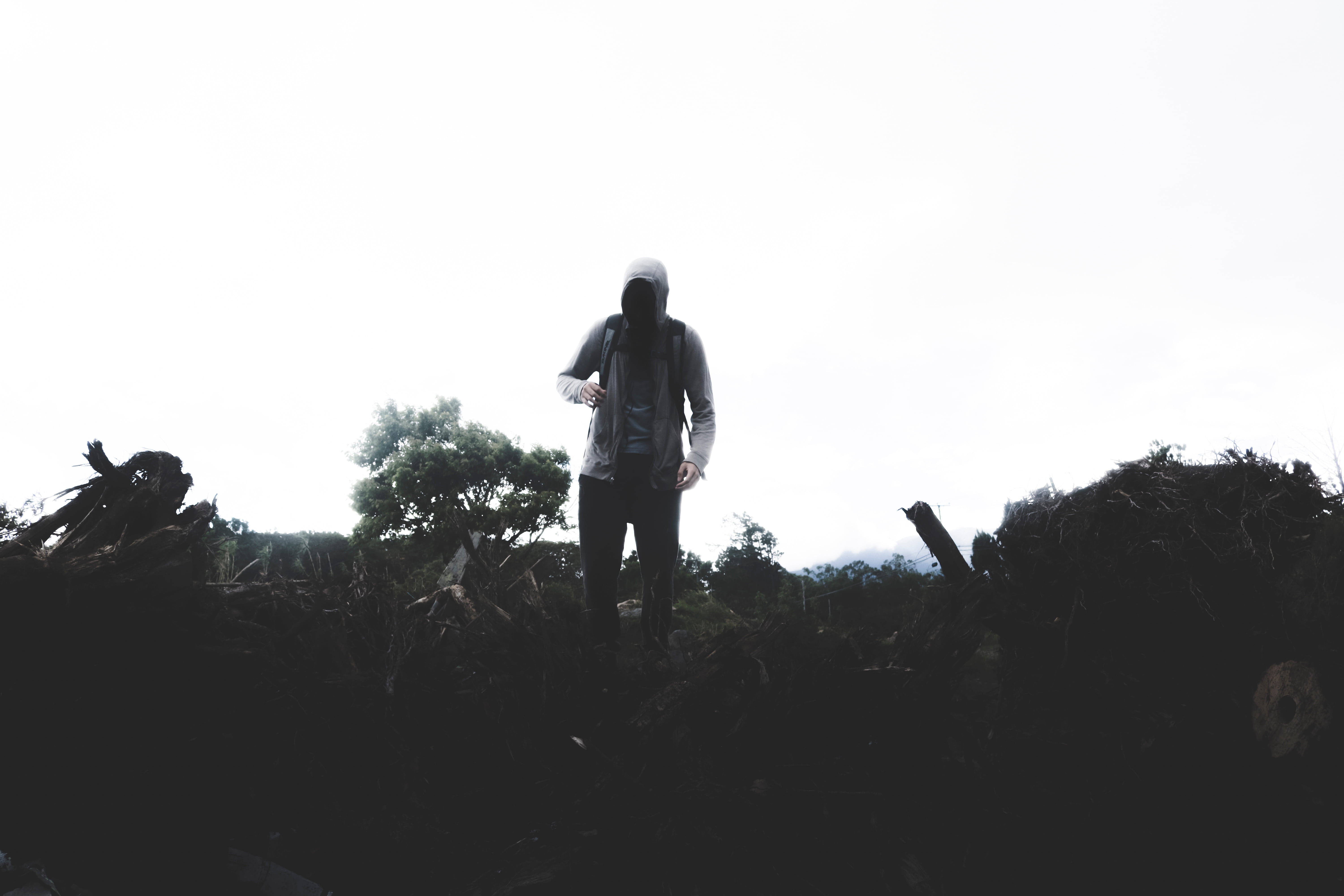 land, trees, silhouette, person, nature, copy space, gray, green, tree, leisure activity, sky, clear sky, adult, plant, adventure, hiking, real people, HD Wallpaper