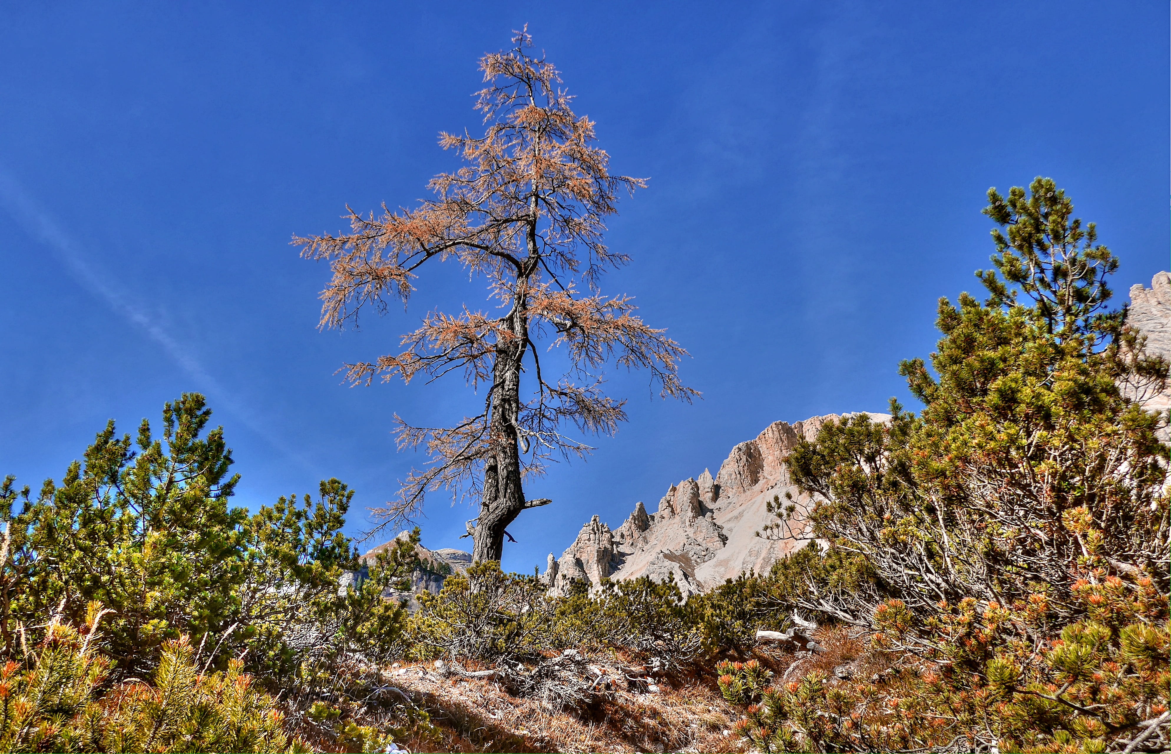 environment, dolomites, summer, no people, alpine panorama, italy, clear sky, low angle view, alpine, nature, change, rock, semi-arid, alta badia, rubble field, HD Wallpaper