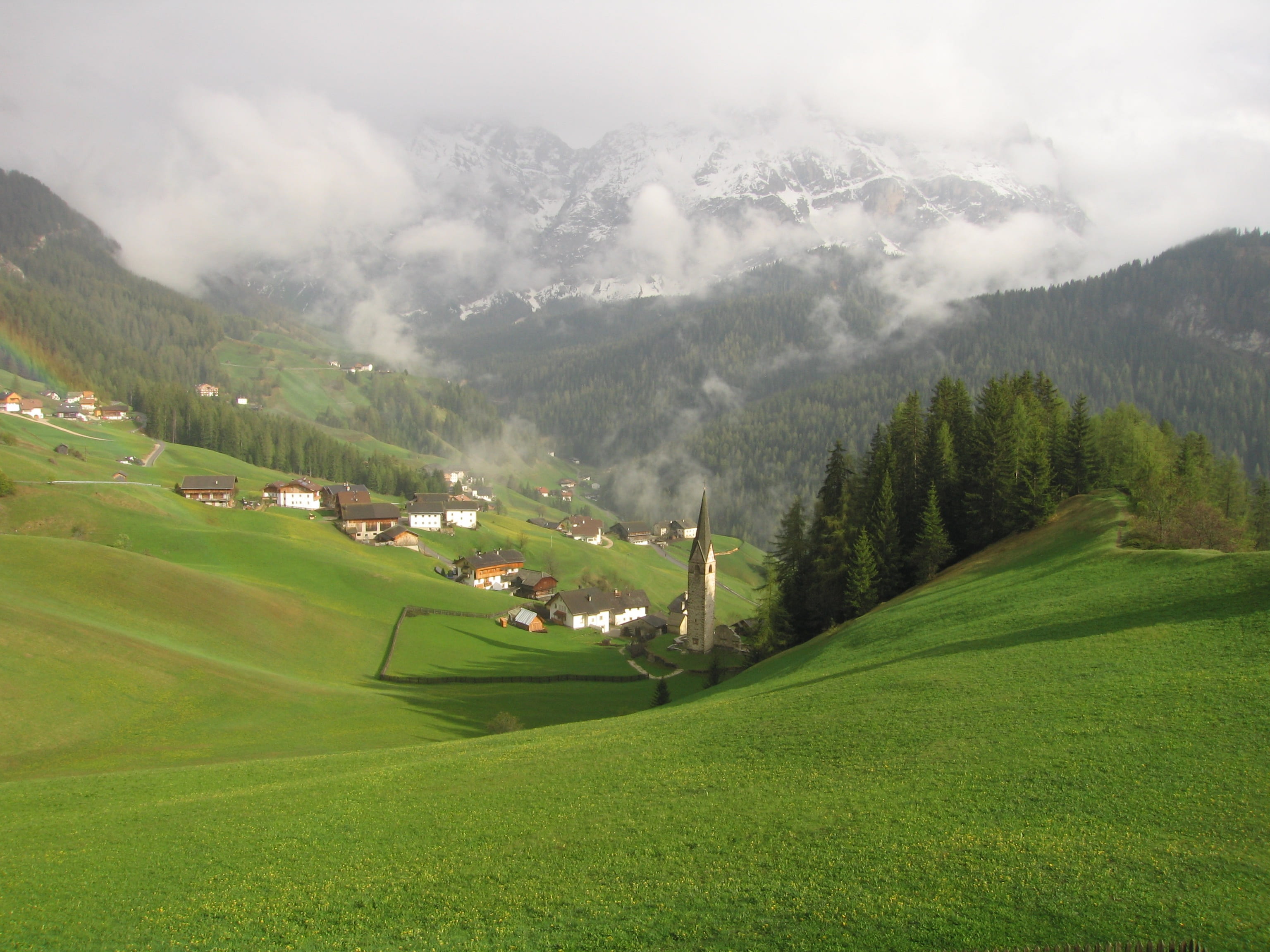 no people, wall farm ciablun, la val, dolomites, tree, nature, tranquility, day, outdoors, land, fog, mountain range, grass, non-urban scene, mountain, HD Wallpaper