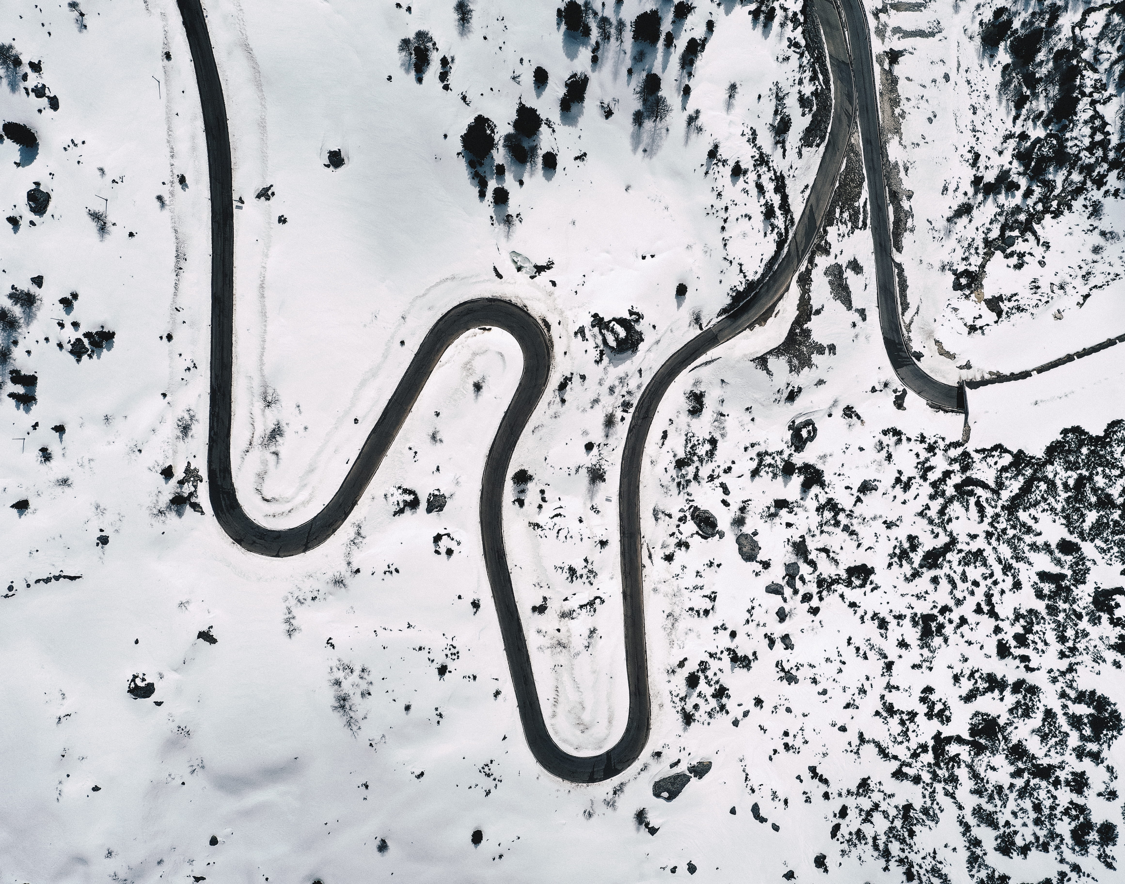 curve, outdoors, art, abstract, cold temperature, tar, no people, modern art, italy, plant, graphics, root, high angle view, indoors, full frame, passo falzarego, HD Wallpaper