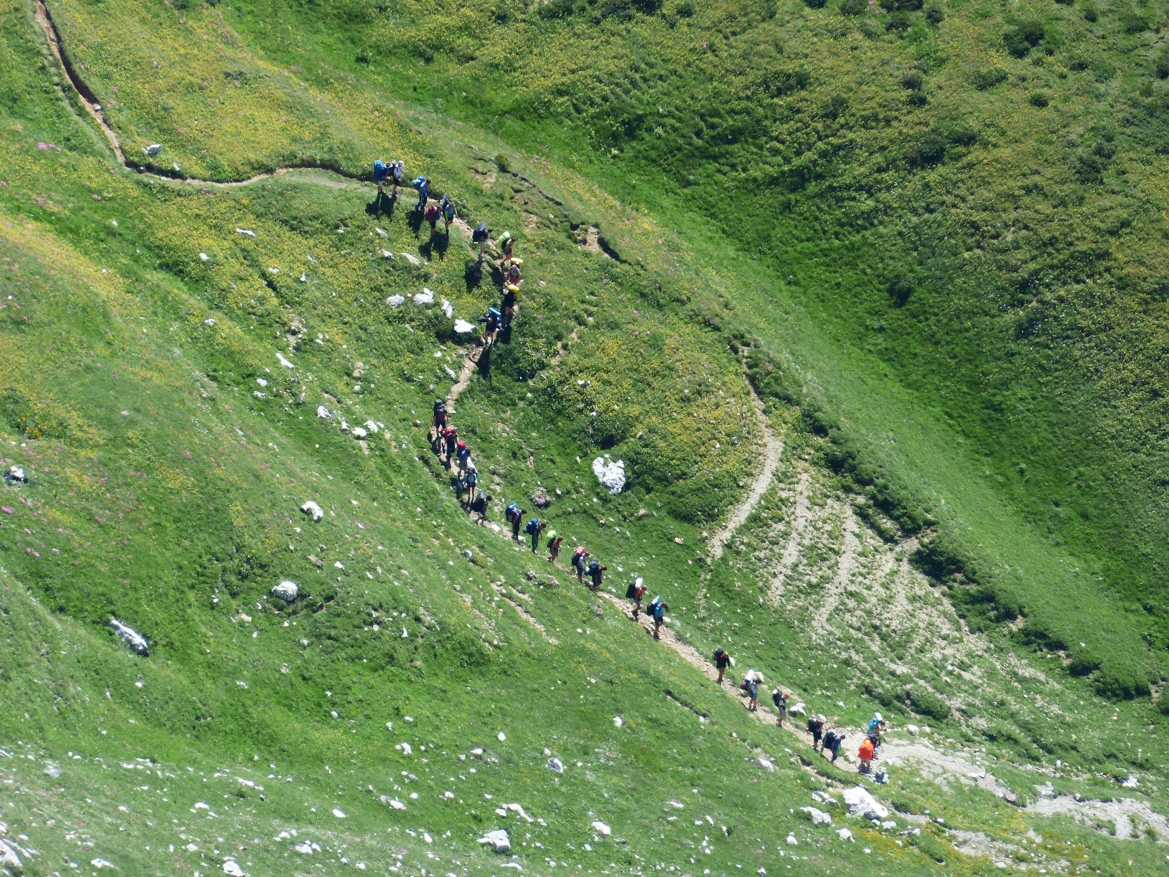 4K, real people, human snake, large group of people, passo delle saline, alpine, environment, green Color, long distance footpath, saline, livestock, outdoors, HD Wallpaper