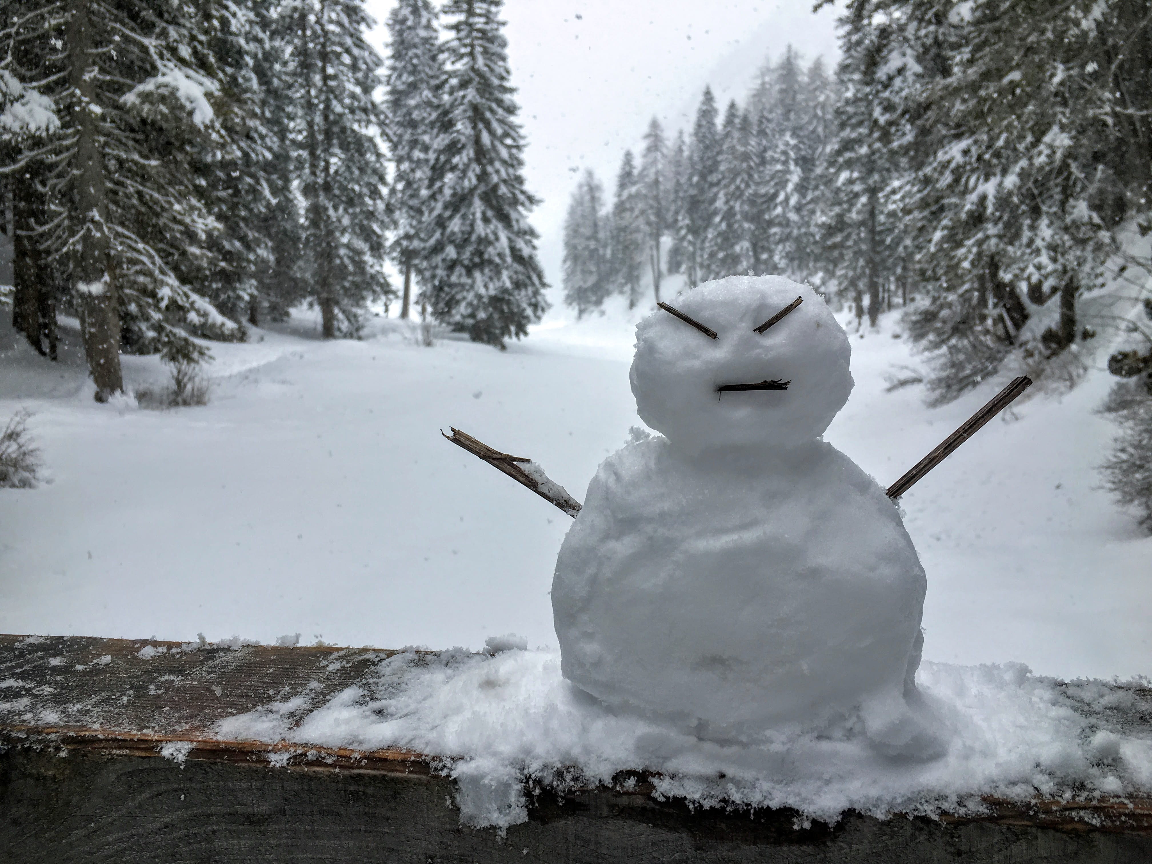 snowman, tranquility, day, ball, trentino-alto adige, human representation, nature, braies, happy, plant, white color, angry, pupazzo, beauty in nature, HD Wallpaper