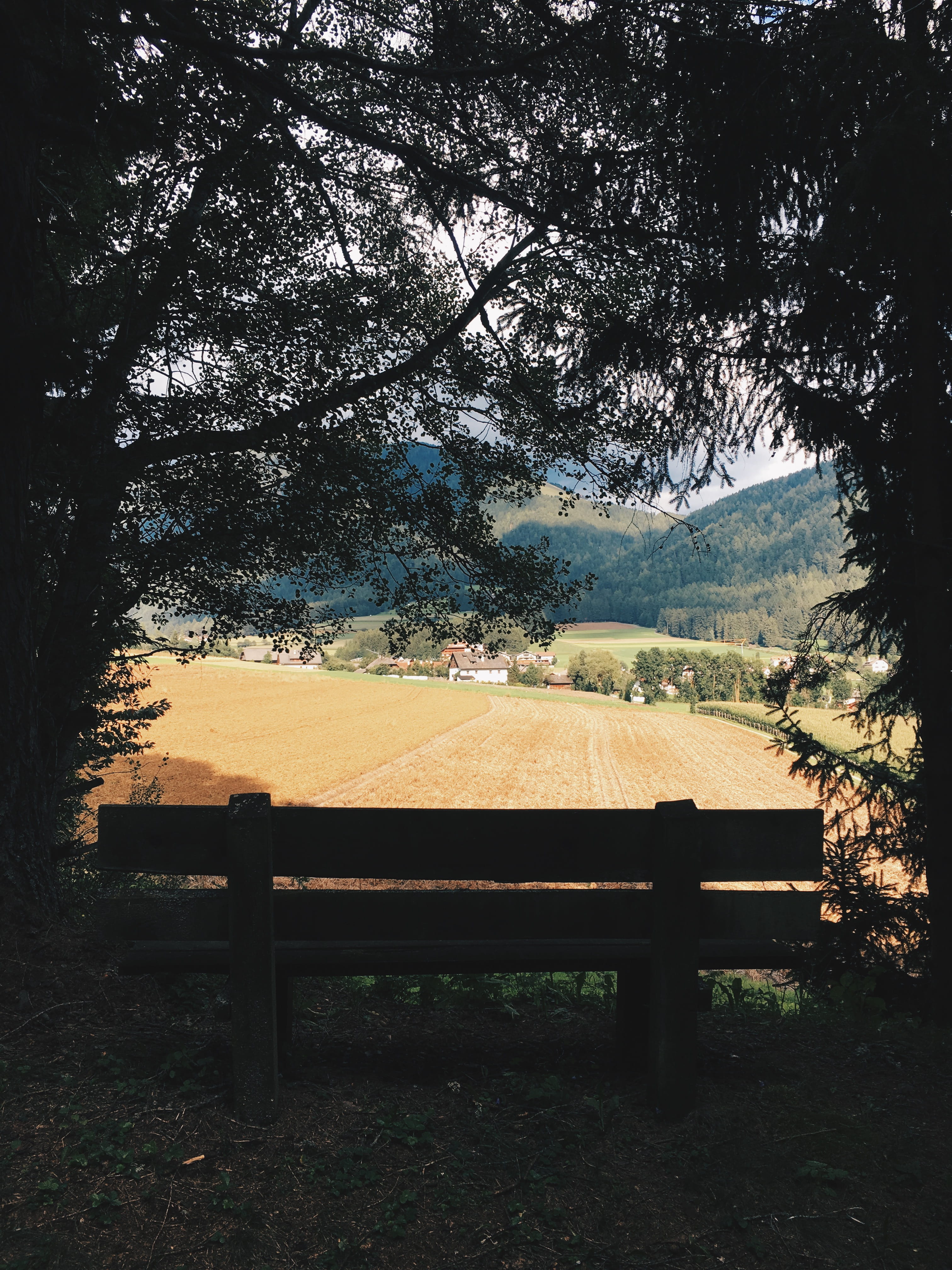land, mountain, park, environment, point of view, landscape, wheat field, field, tree, park bench, beauty in nature, empty, tranquil scene, Phone HD Wallpaper