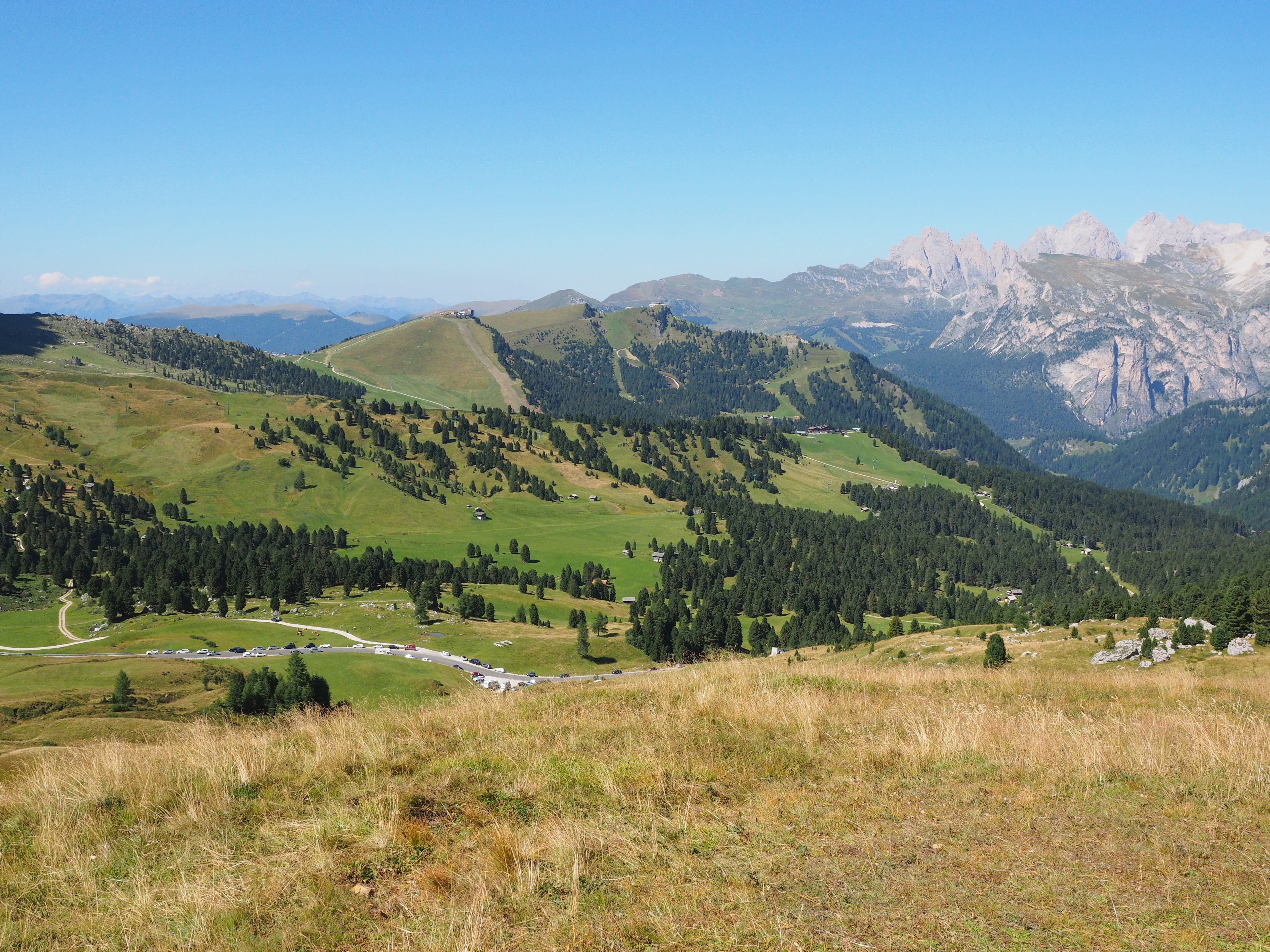 grass, pasture, environment, idyllic, sella, idyll, torkofel, nature, ciampinoi, landscape, mountain, scenics - nature, piz sella, sas di mezdi, sella pass, HD Wallpaper