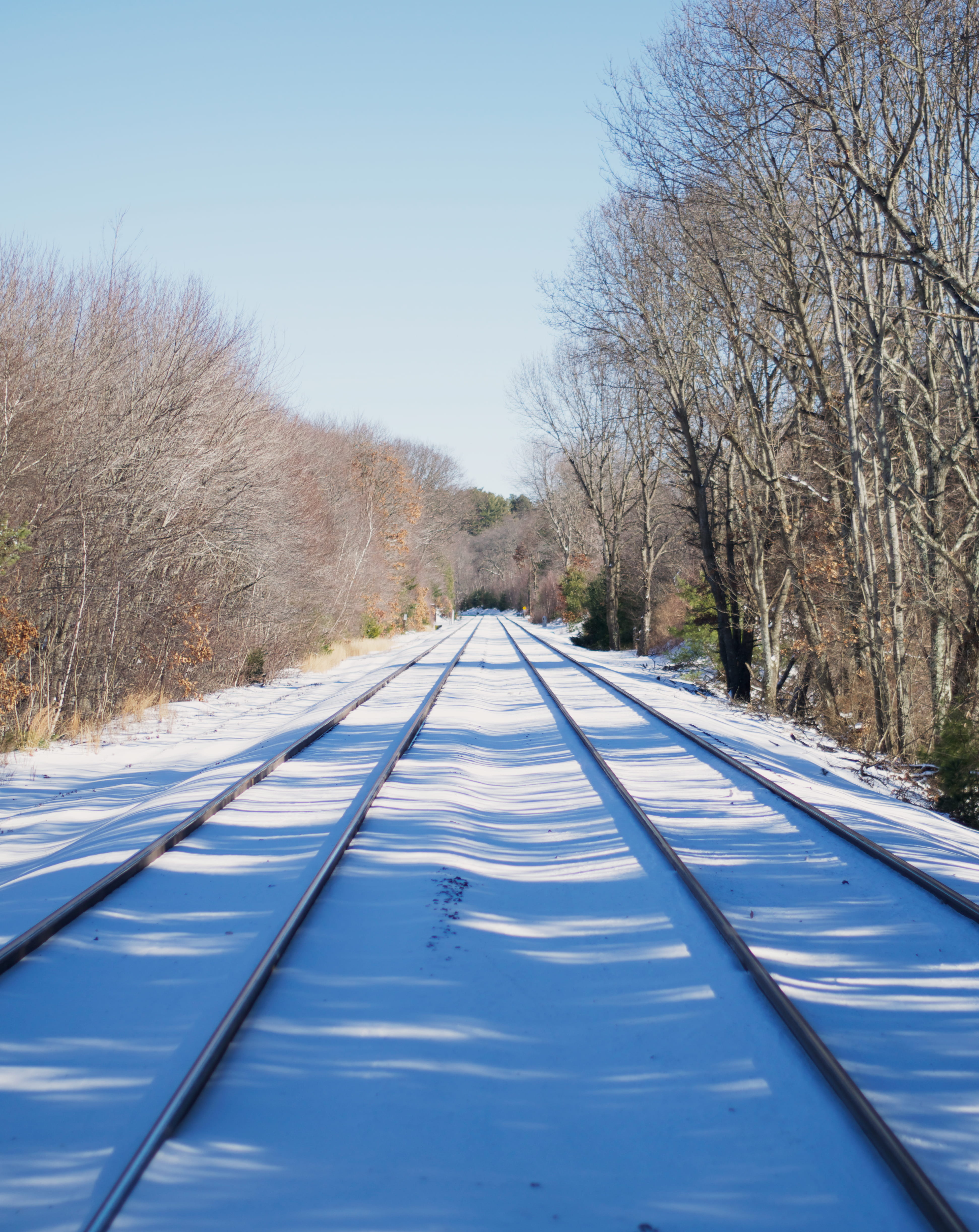 outdoors, forest, day, leading lines, lines, clear sky, trains, snow, scenics - nature, wintry, sky, trees, westborough, mode of transportation, travel, Phone HD Wallpaper