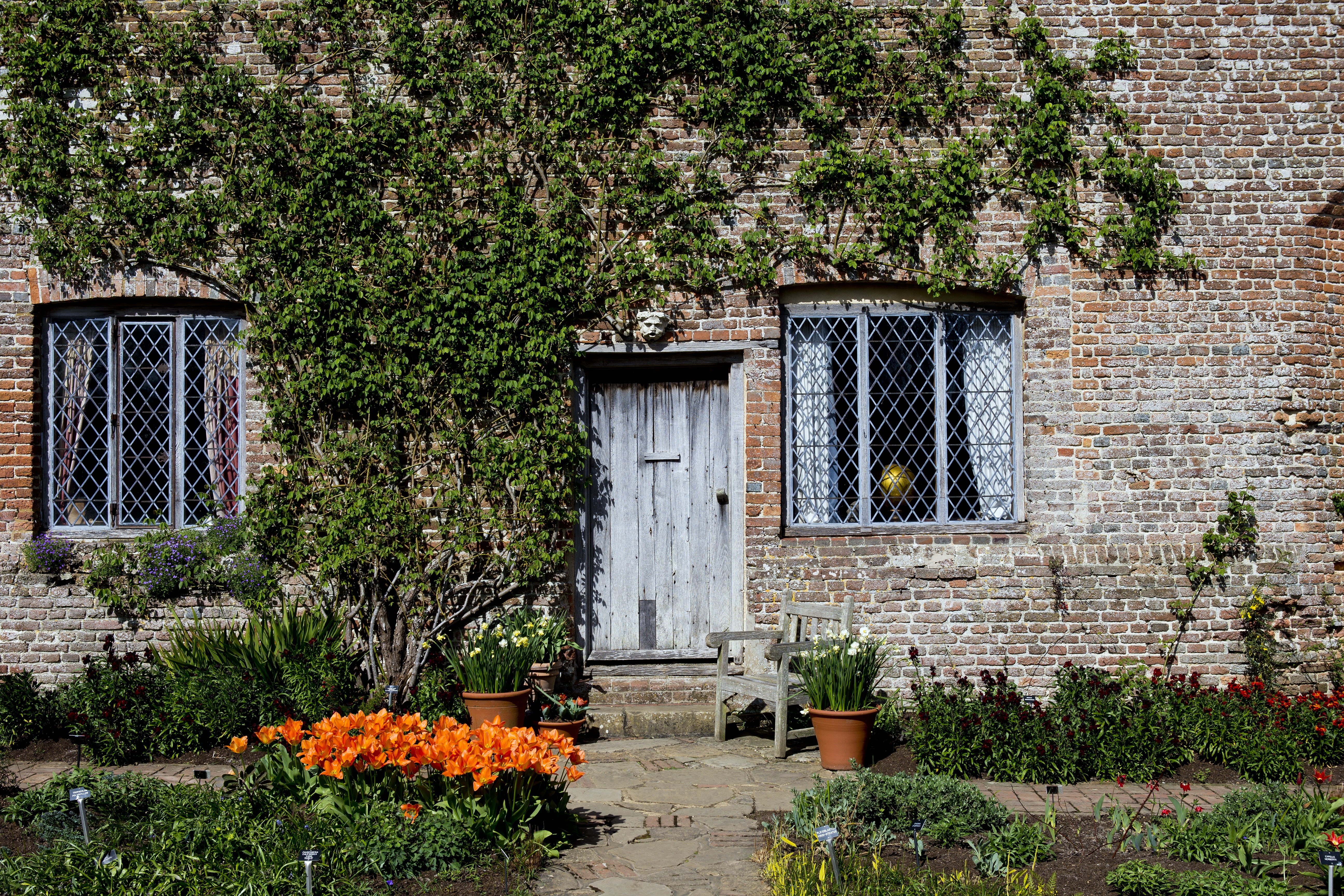 tree, house, seat, leaded-light windows, door, grass, flowering plant, tudor cottage, plant, growth, oak door and lintel, wall - building feature, orange tulips, HD Wallpaper