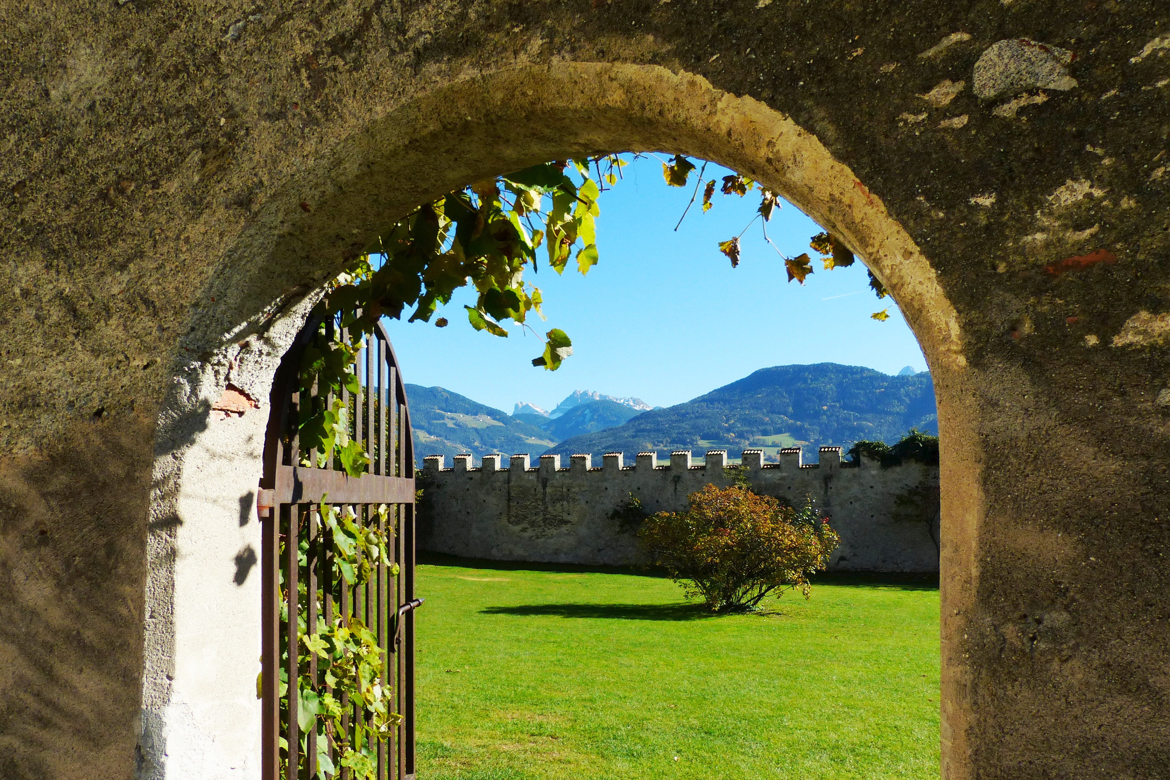 grass, architecture, nature, closed garden feldthurns, beside, tree, outdoors, built structure, brown, concrete, arch, dolomites, no people, wall, beauty in nature, HD Wallpaper