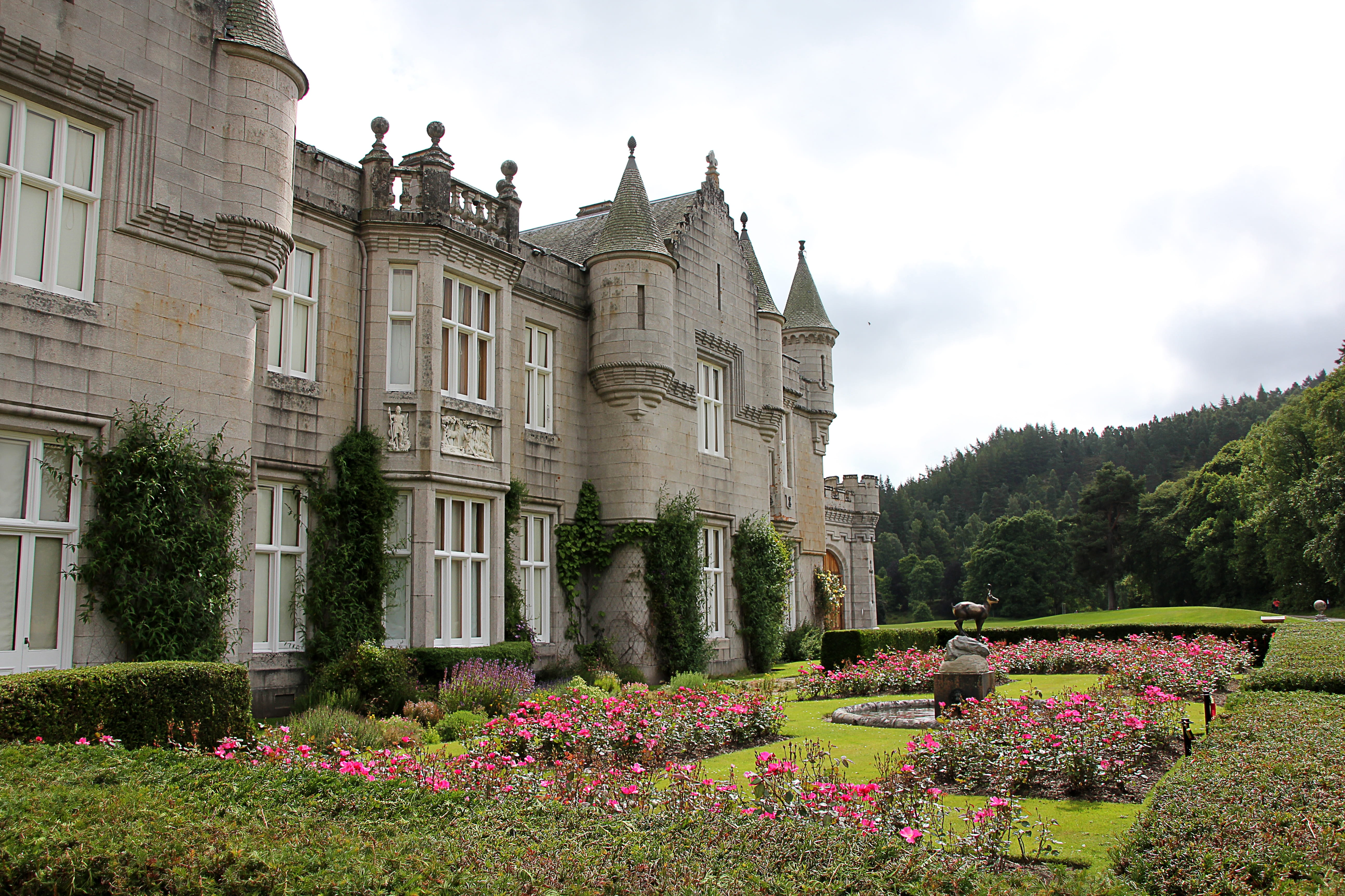 flower, castle, history, flowers, growth, grass, inhabited, balmoral castle, formal garden, tree, architectural column, beauty in nature, sky, building exterior, HD Wallpaper
