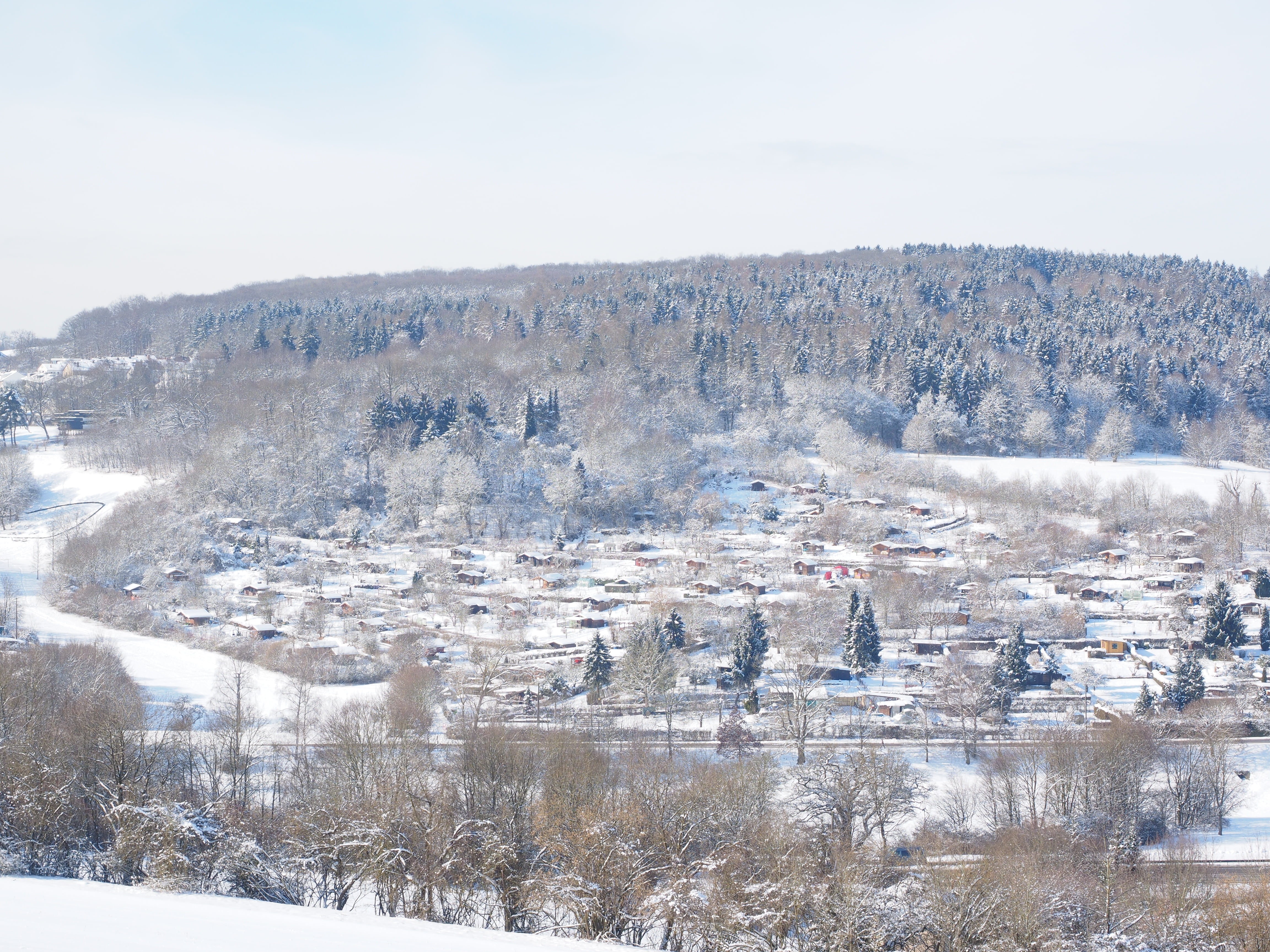 teacher tal, cold temperature, tourism, high angle view, tree, tranquility, scenics - nature, no people, nature, white, non-urban scene, ulm, tranquil scene, HD Wallpaper