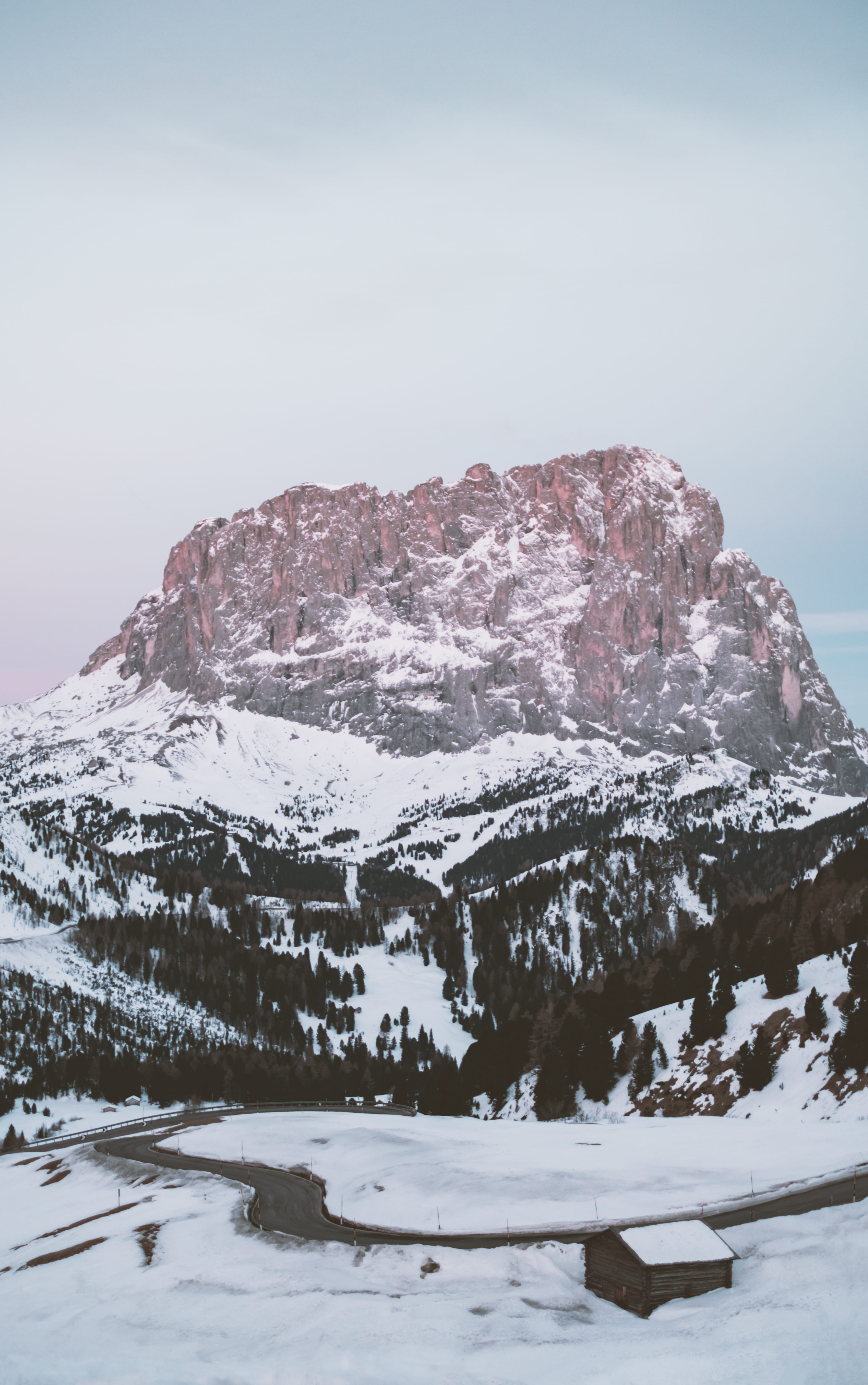 plant, white color, sky, environment, ice, tranquil scene, scenics - nature, fir, panoramic, blue, tranquility, glacier, dolomits, covering, abies, 5K, Phone HD Wallpaper