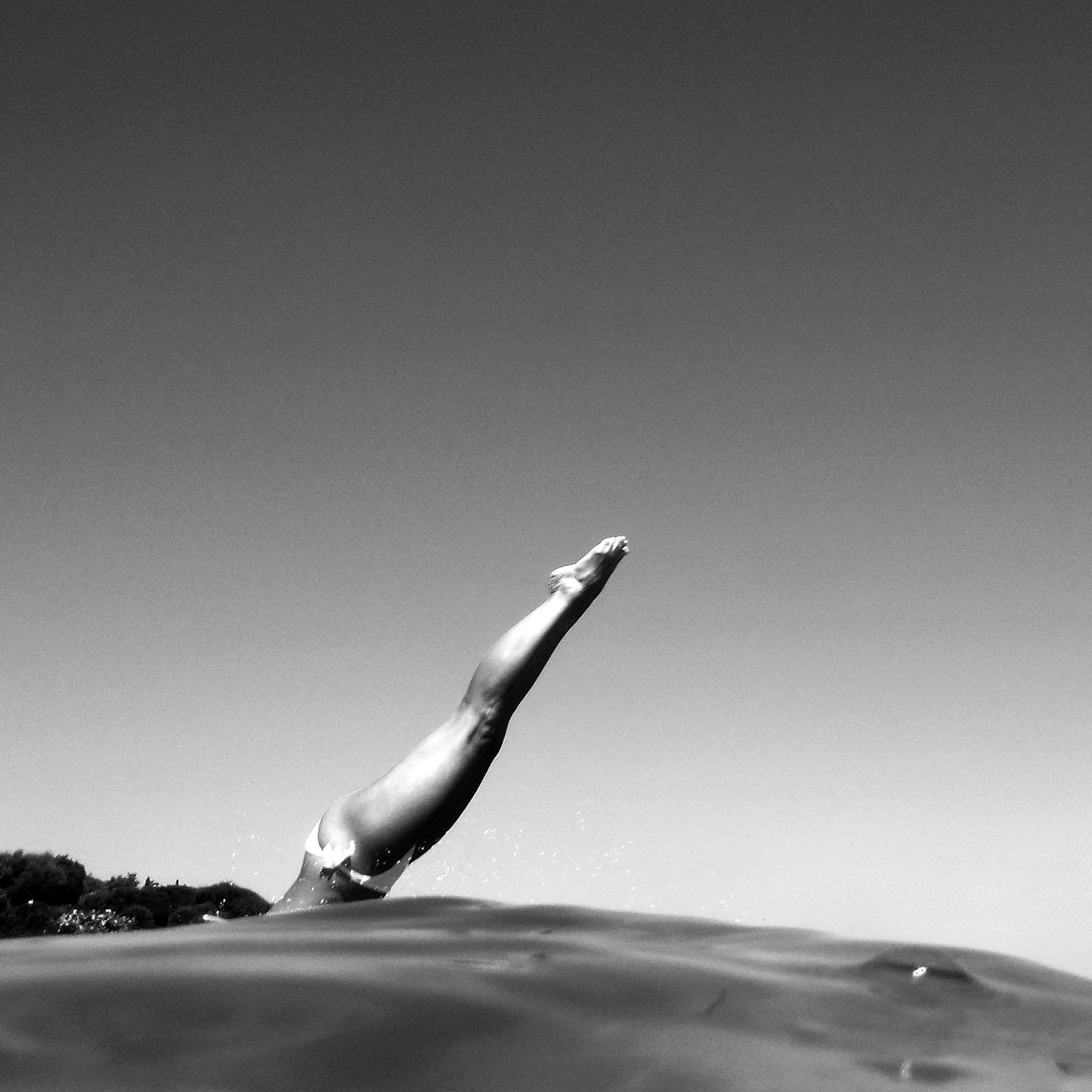 relaxation, nature, diver, men, holiday, holidays, leg, outdoors, person, bird, copy space, lifestyles, blackandwhite, grayscale, diving, maddalena island, Phone HD Wallpaper