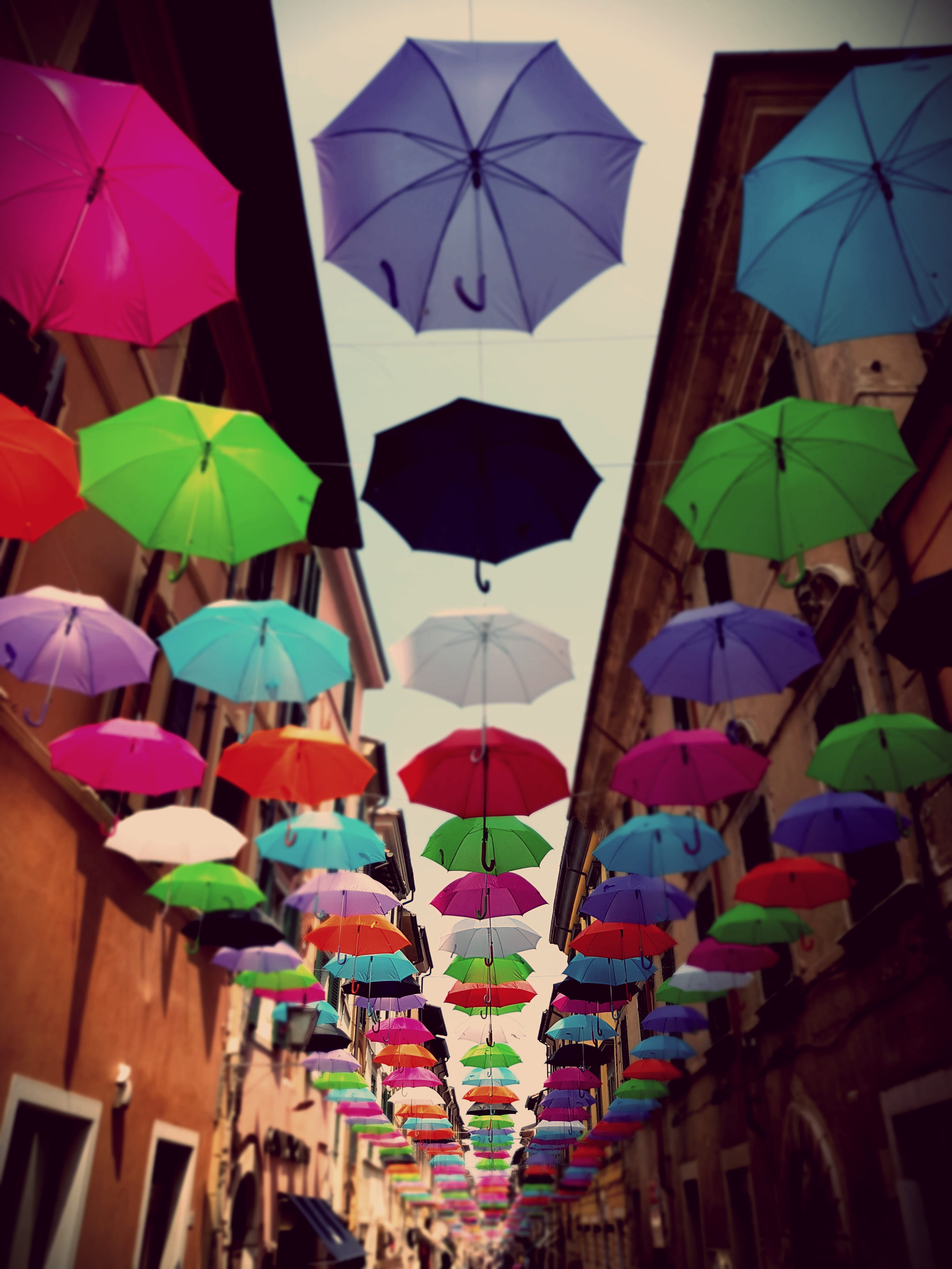 low angle view, hanging, 4K, umbrella, cute, market stall, sale, market, house, vintage, summer, awesome, italy, old, no people, italia, large group of objects, Phone HD Wallpaper