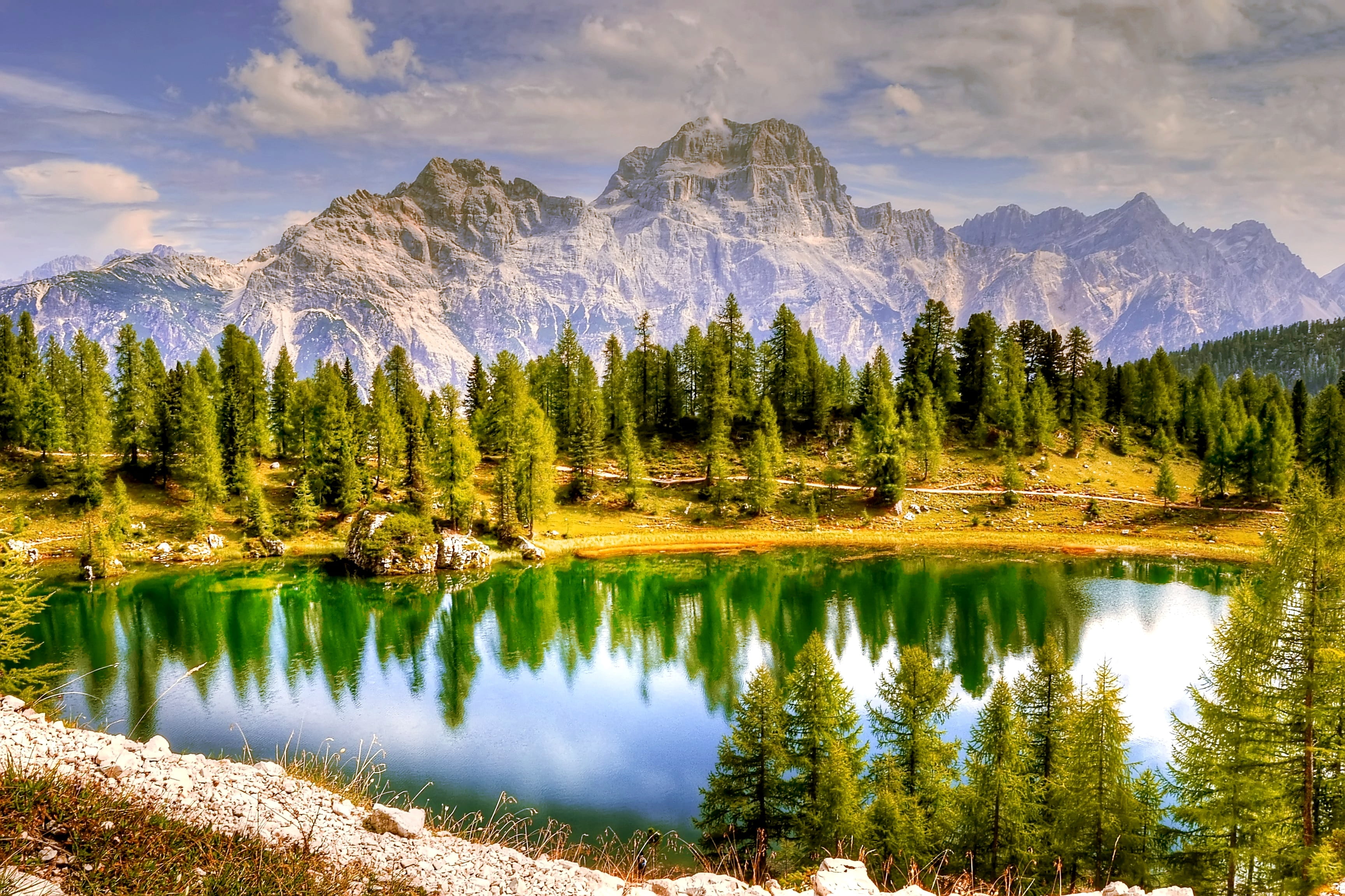 non-urban scene, trees, tranquility, karg, alm, landscape, beauty in nature, coniferous tree, tree, view, scenics - nature, mountains, body, 2K, sky, clouds, HD Wallpaper