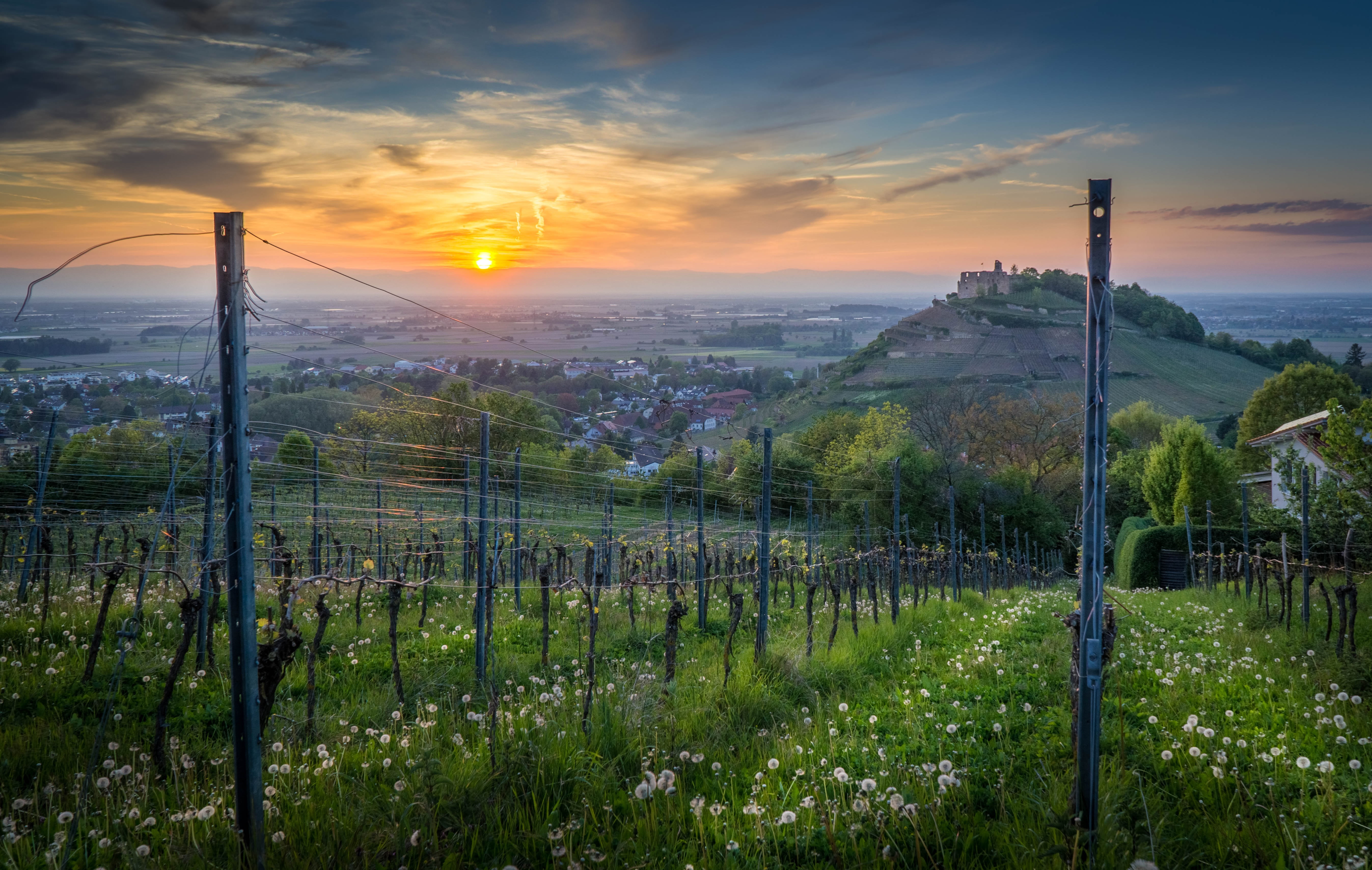 growth, wettelbrunn, sunset, swim, electricity, baden württemberg, 5K, schauinsland, architecture, cloud - sky, built structure, old town, staufen im breisgau, HD Wallpaper