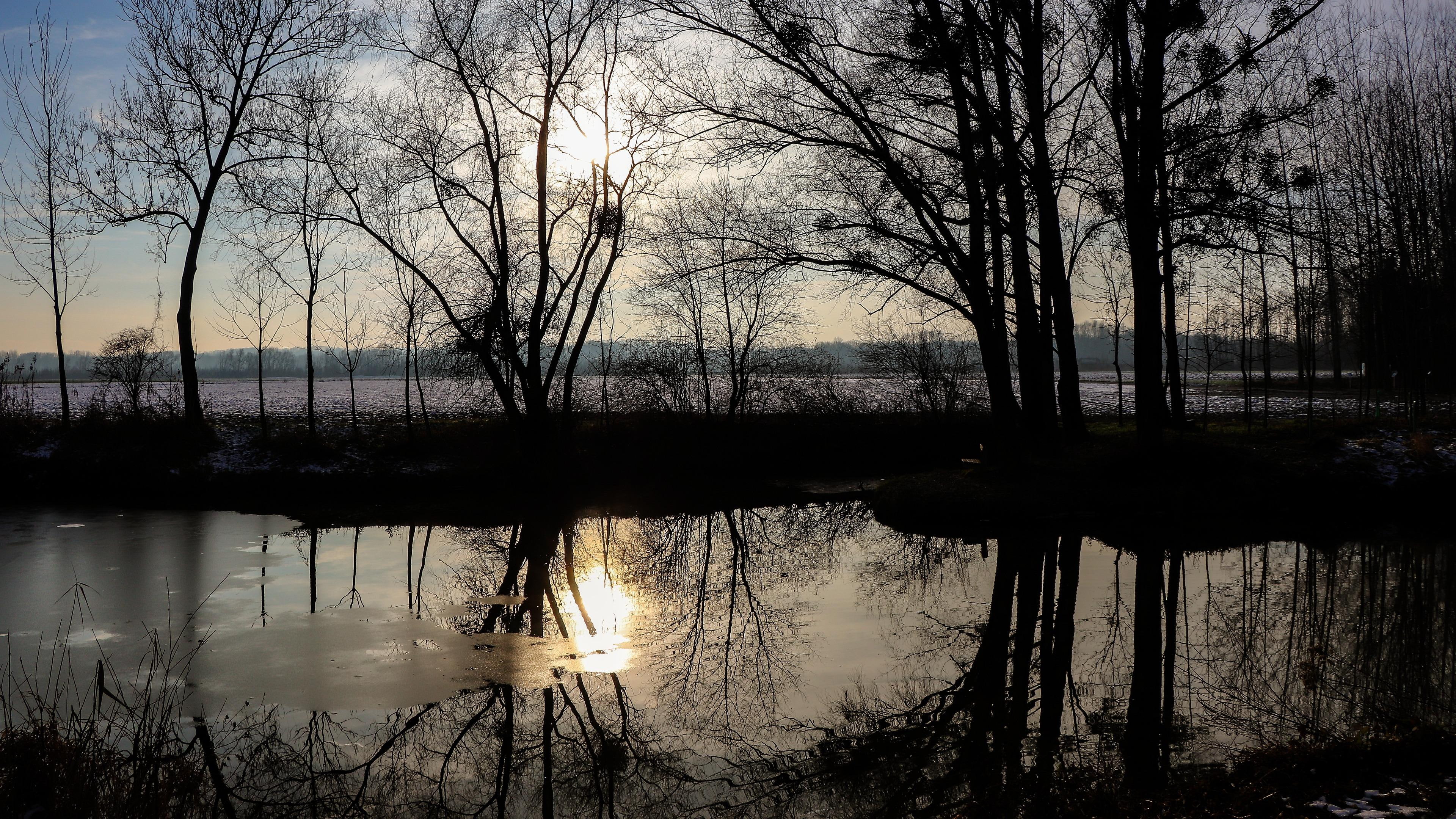 austria, naarn im machlande, landscape, 4K, europe, december, reflection, frost, winter, pond, HD Wallpaper