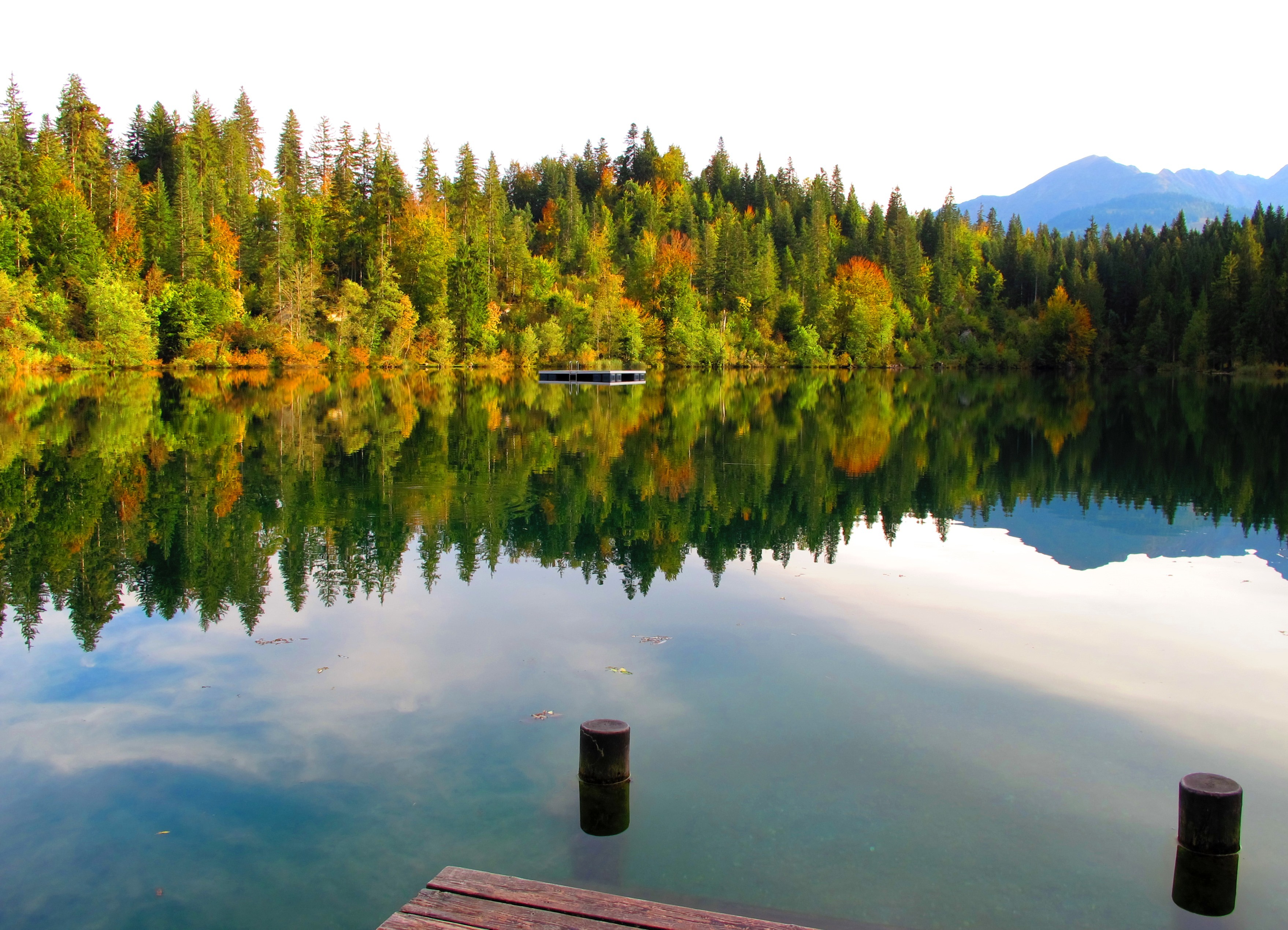forest, idyllic, dusk, lake cresta, water, tree, outdoors, twilight, landscape, non-urban scene, standing water, trees, growth, abendstimmung, tranquility, HD Wallpaper