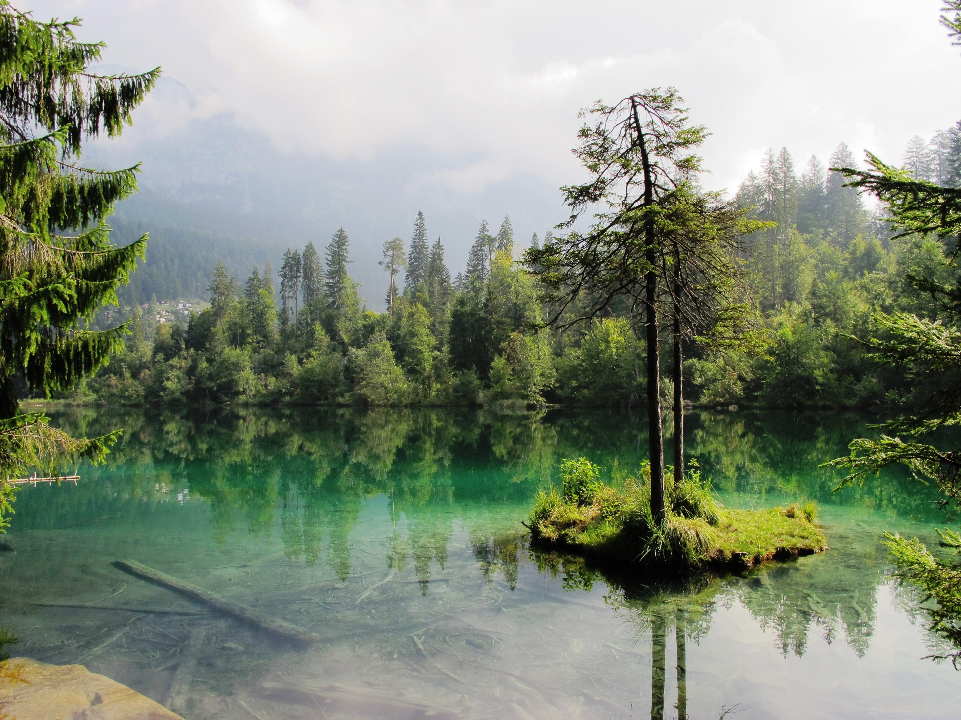 tranquility, scenics - nature, waterfront, daytime, sky, fir, no people, reflection, water, natural lake, idyllic, mood, 2K, trees, moss, green color, HD Wallpaper