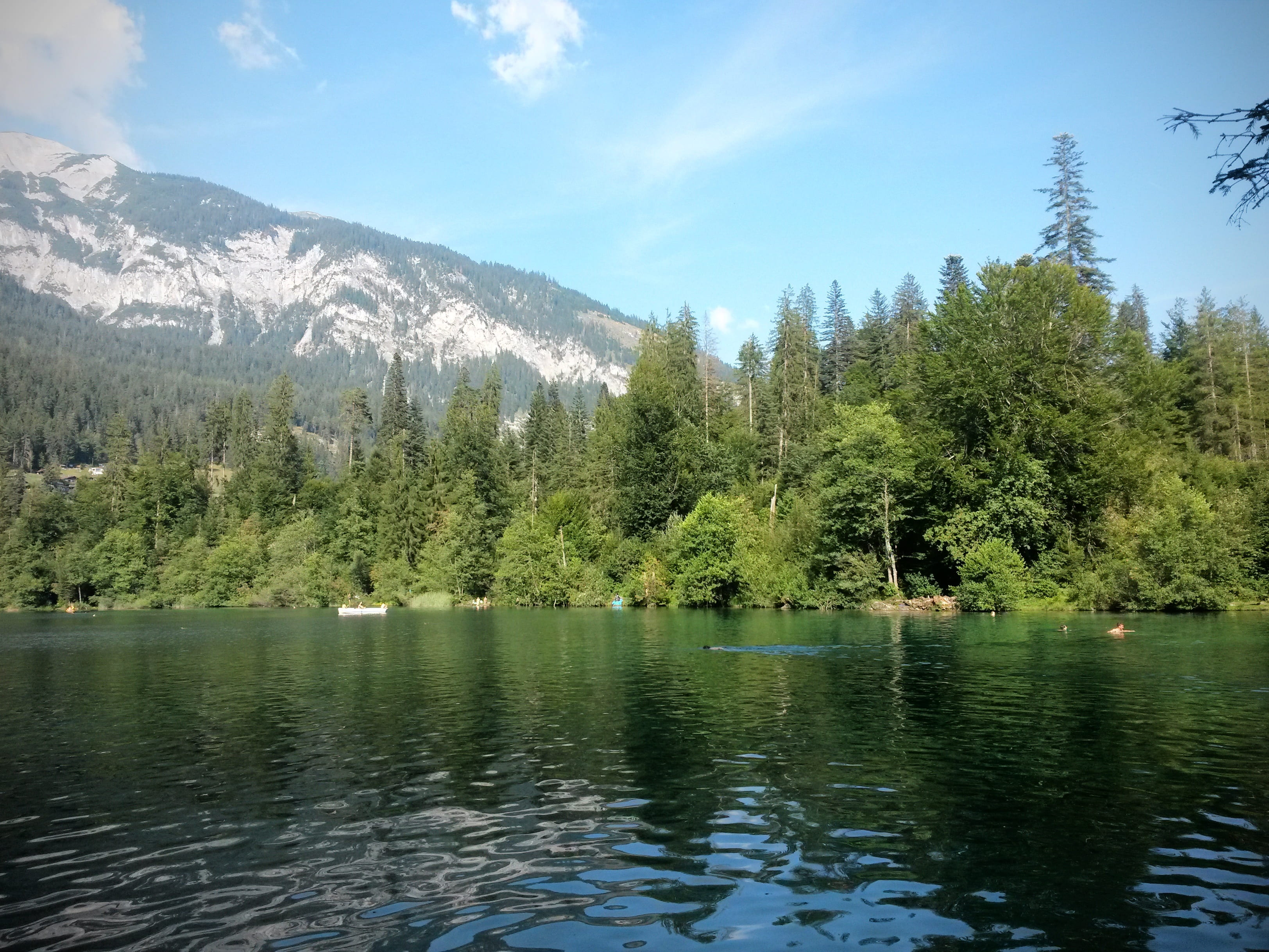 plant, graubünden, 2K, nature, outdoors, non-urban scene, scenics - nature, landscape, water, trin, sky, growth, day, tranquil scene, bergsee, beauty in nature, HD Wallpaper