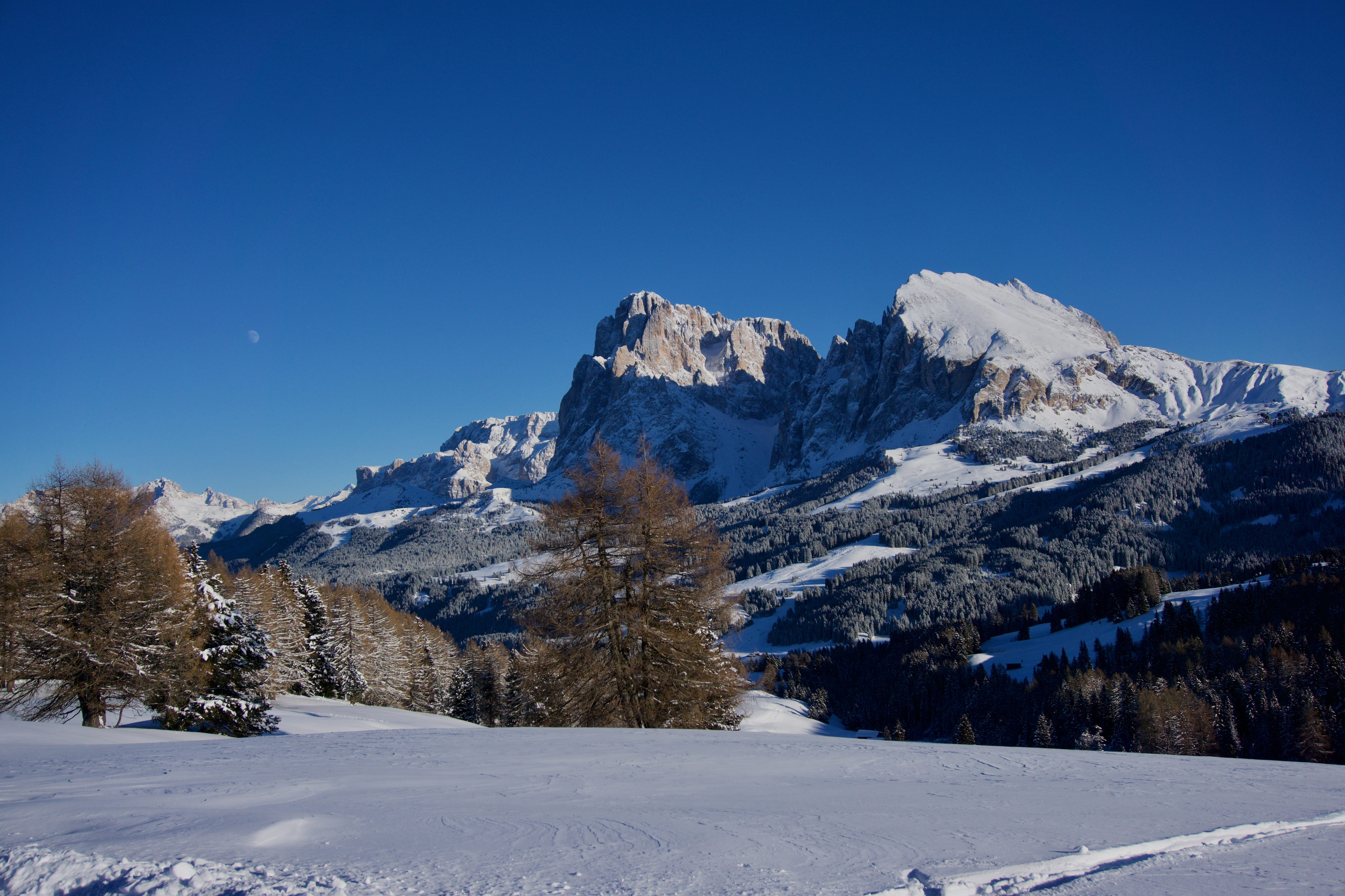 nature, 5K, plant, cold temperature, landscape, pine tree, clear sky, cold, tranquil scene, mountain peak, sky, blue, no people, mountain, plattkofel, HD Wallpaper