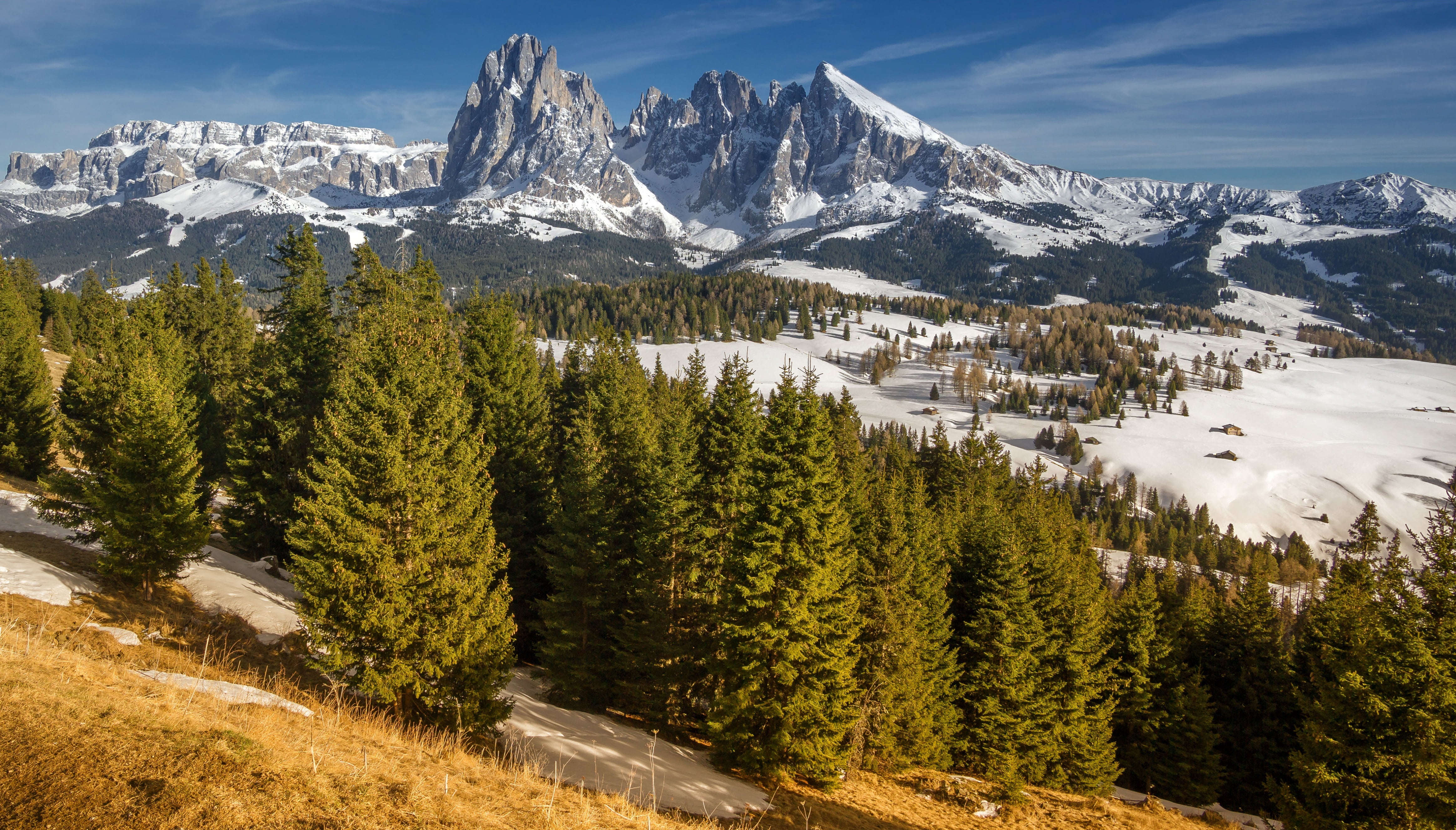 trees, Sassolungo, Italy, snow, South Tyrol, mountains, Dolomites, 4K, HD Wallpaper