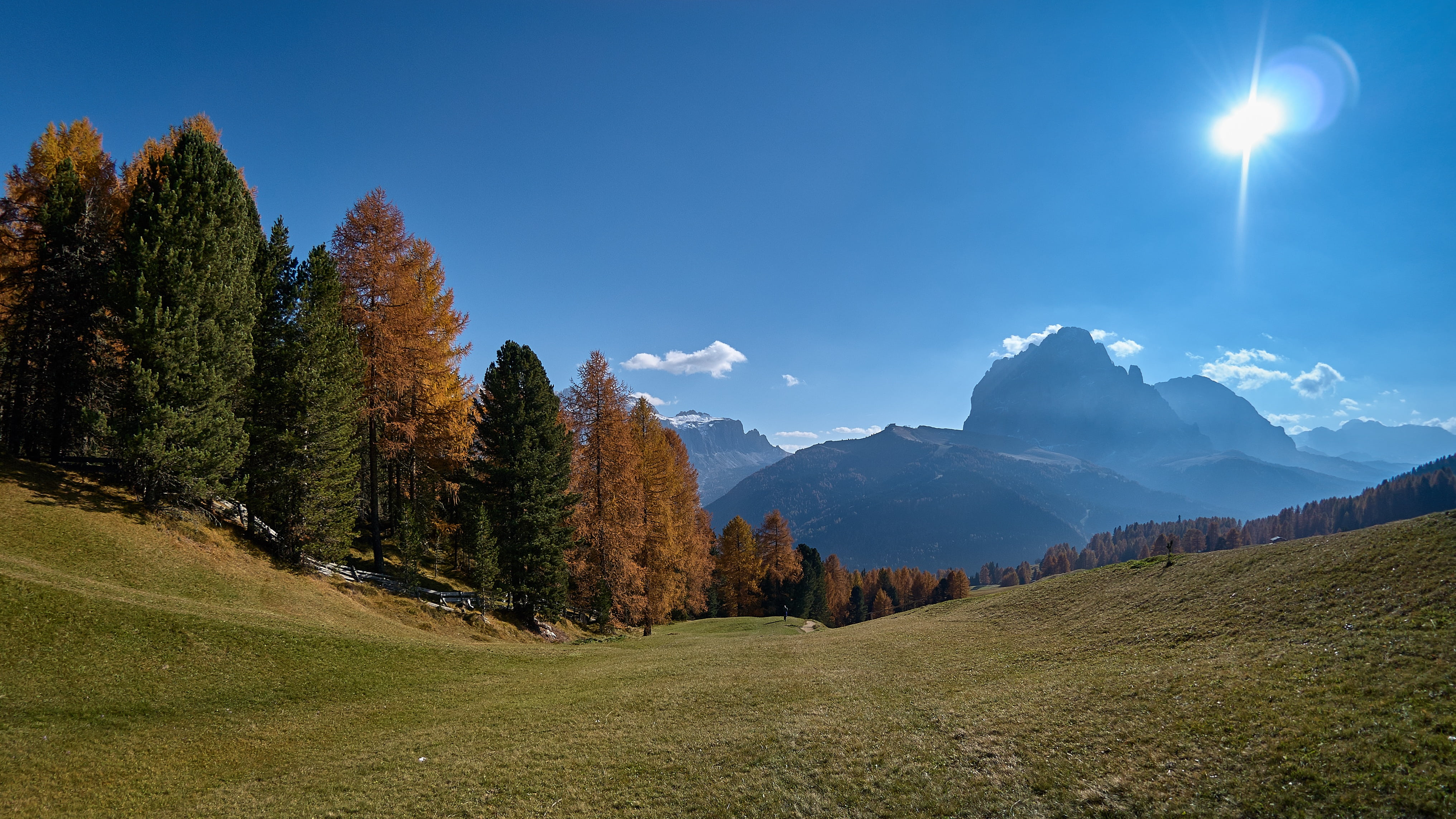 coniferous tree, mountains, grass, meadow, sassolungo, scenics - nature, pine tree, outdoors, mountain range, panoramic, nature, plant, val gardena, landscape, HD Wallpaper