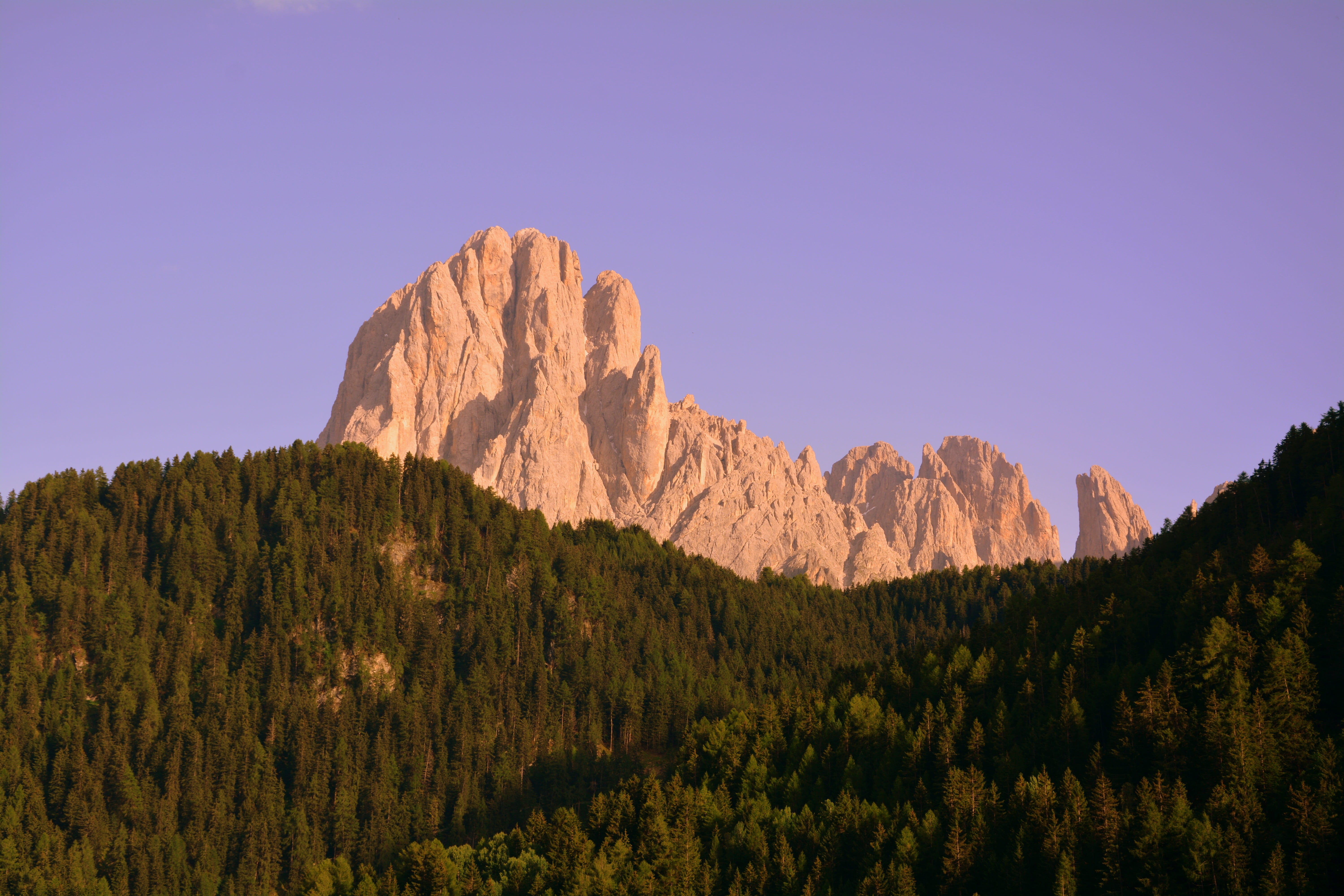 land, outdoors, mountains, nature, mountain, scenics - nature, plant, rock - object, woodland, no people, sky, italy, travel destinations, sassolungo, environment, HD Wallpaper