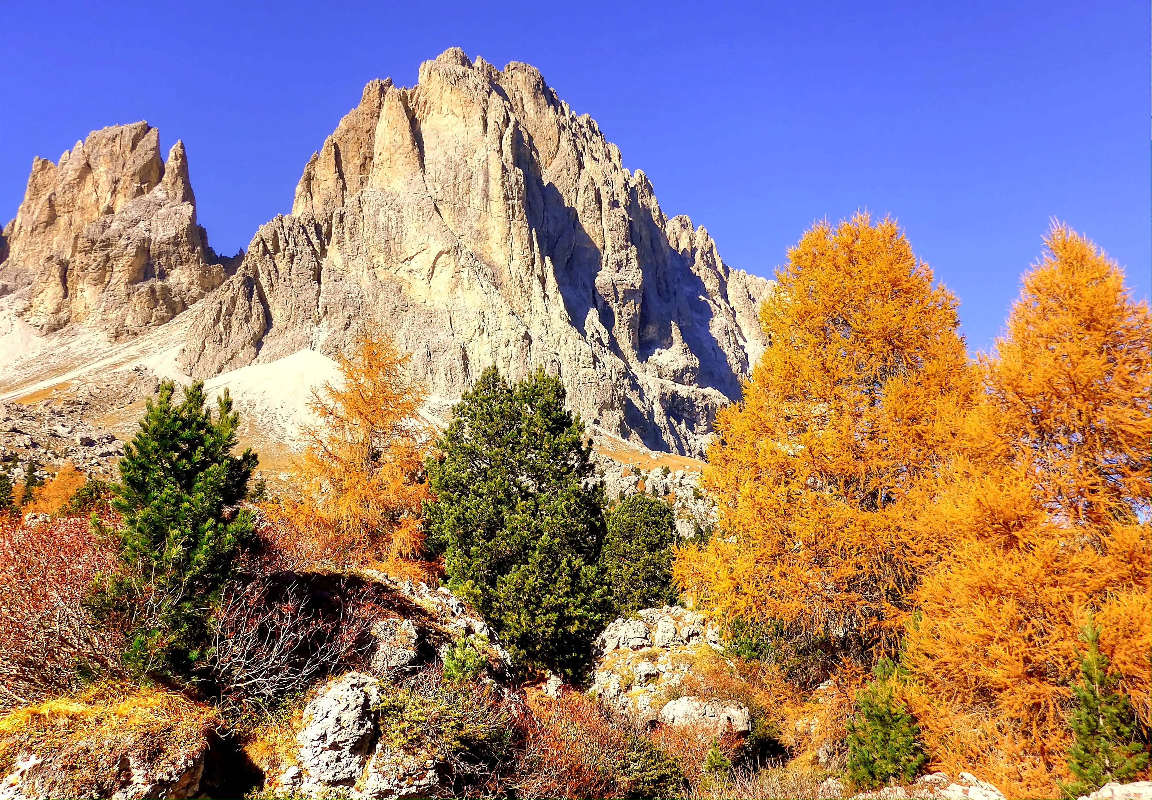 landscape, karg, environment, tree, pine tree, scenics - nature, no people, non-urban scene, outdoors, nature, mountain landscape, unesco world heritage, HD Wallpaper