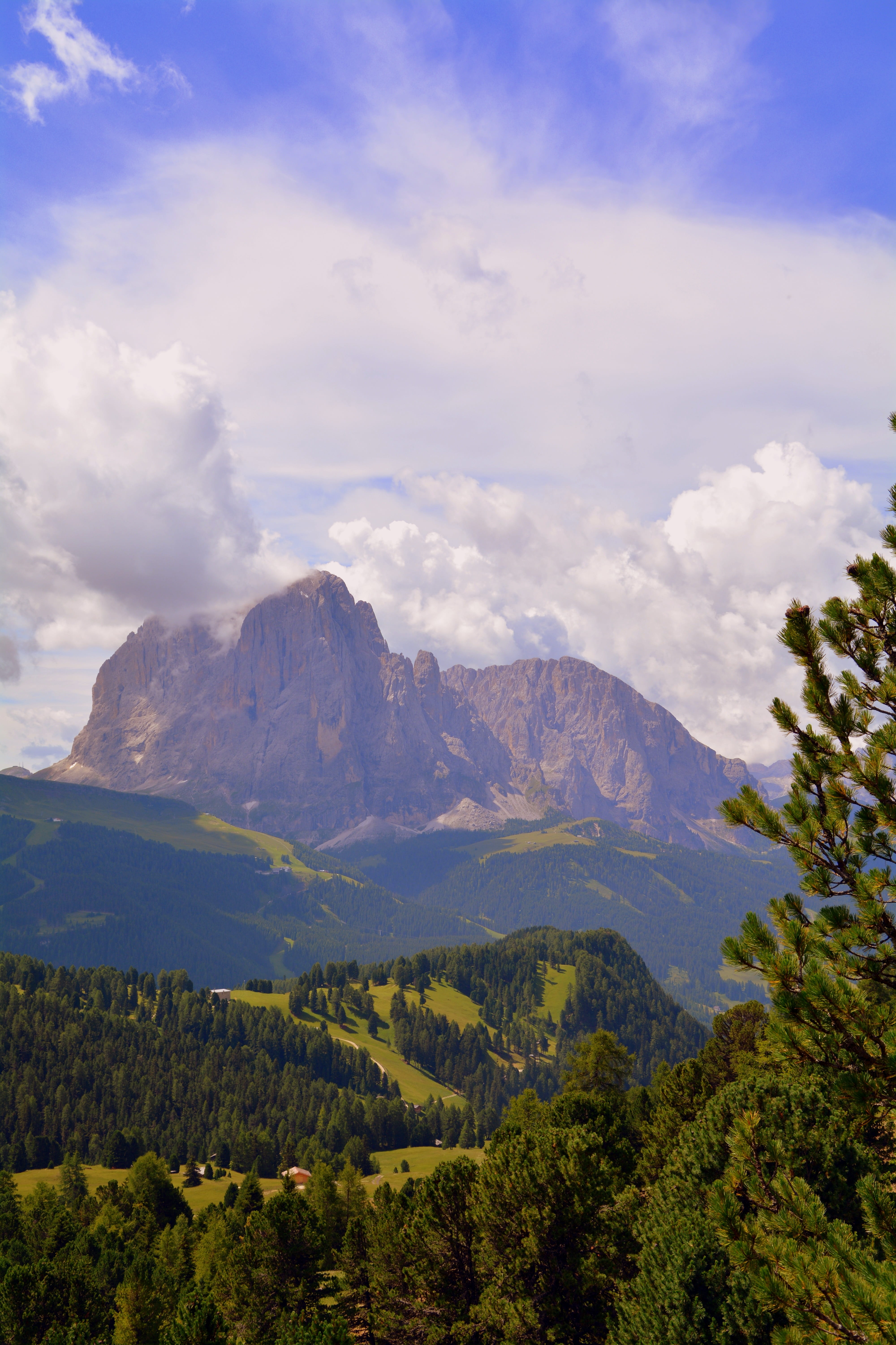 mountain peak, growth, italy, sky, beauty in nature, rock, day, cloud - sky, scenics - nature, range, mountain, tree, tranquil scene, environment, mountain range, Phone HD Wallpaper