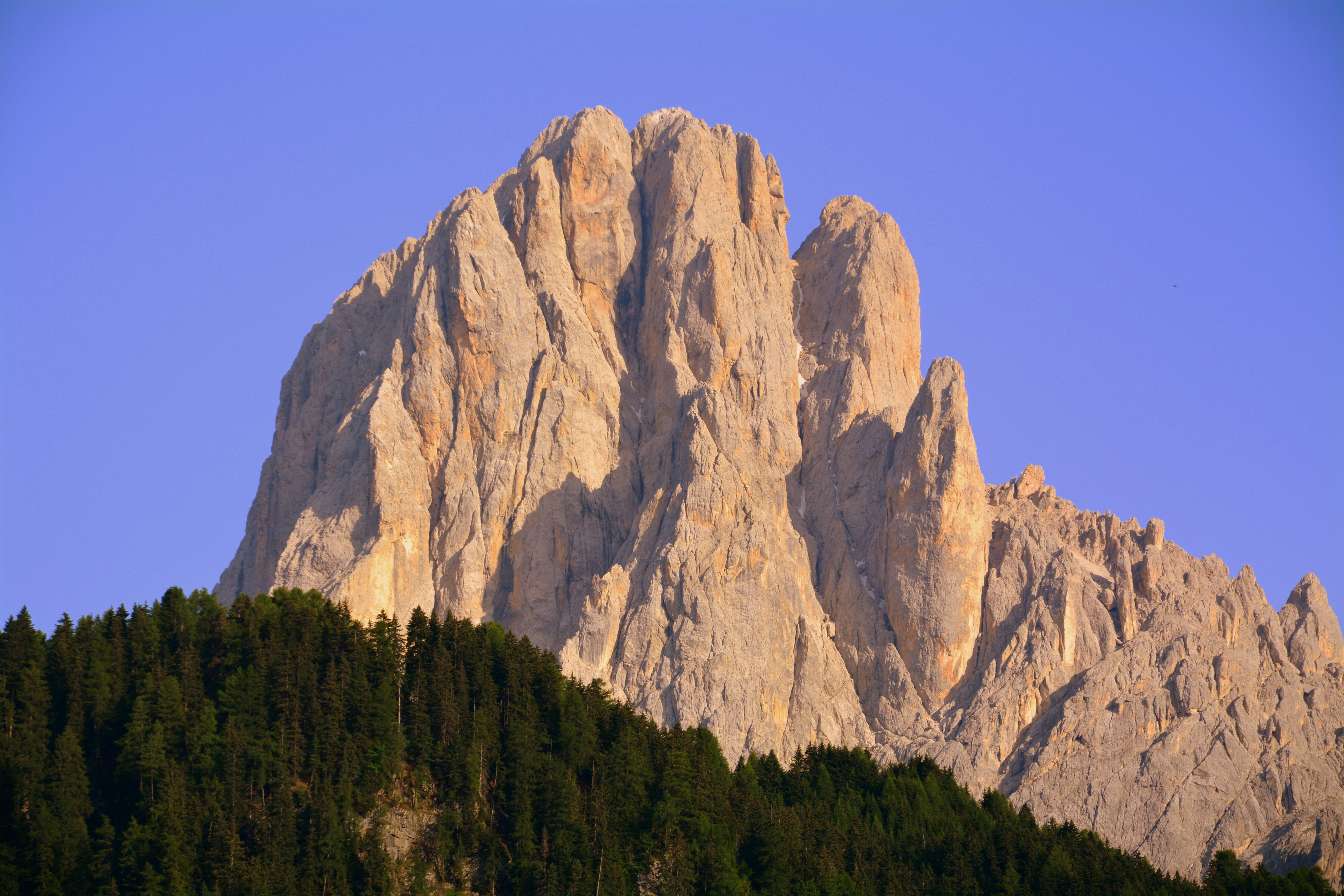 travel destinations, mountain range, sassolungo, mountain, pine woodland, 5K, nature, landscape, scenics - nature, clear sky, land, beauty in nature, rock, HD Wallpaper