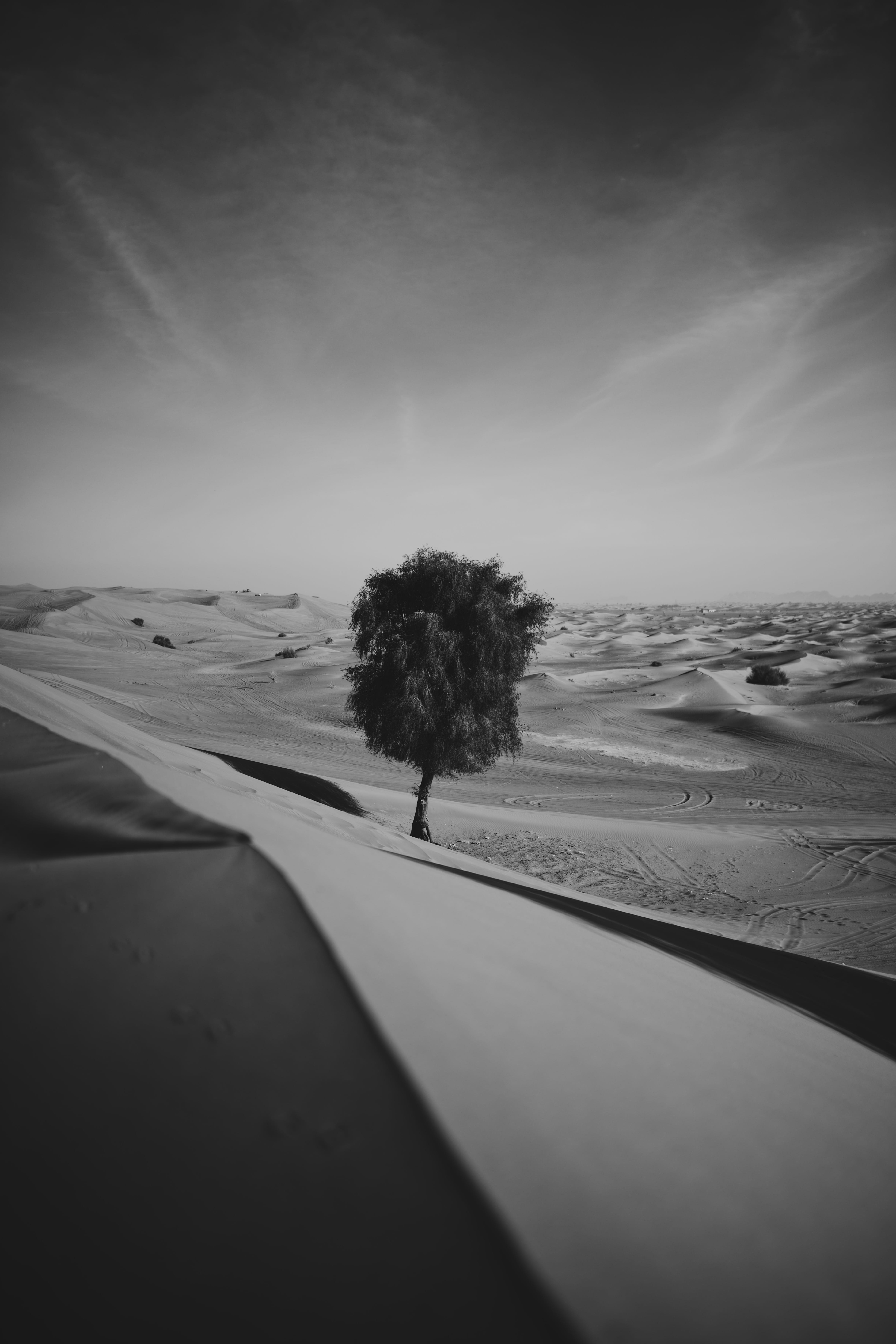 dune, sanddunes, photography, new, vsco, land, grayscale, atv, transportation, scenics - nature, tranquility, nature, soil, field, tree, nikon, portrait, Phone HD Wallpaper